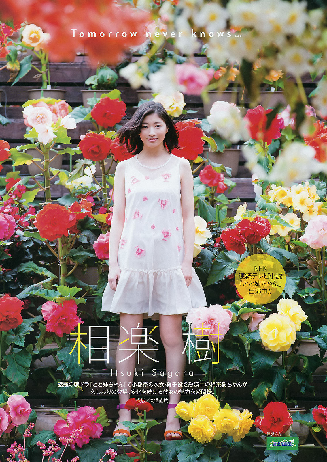 [Young Gangan] 2016年No.11 兒玉遥 相楽樹