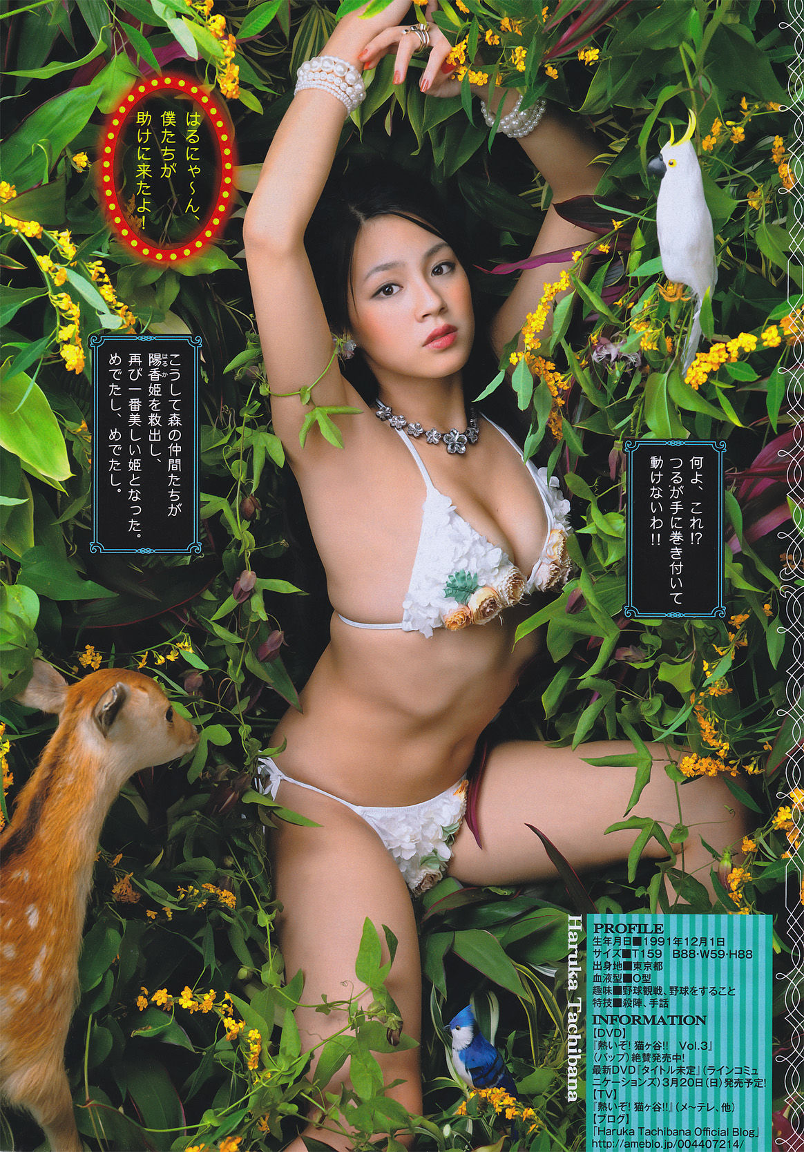 [Young Magazine] 2011年No.08 桜庭ななみ