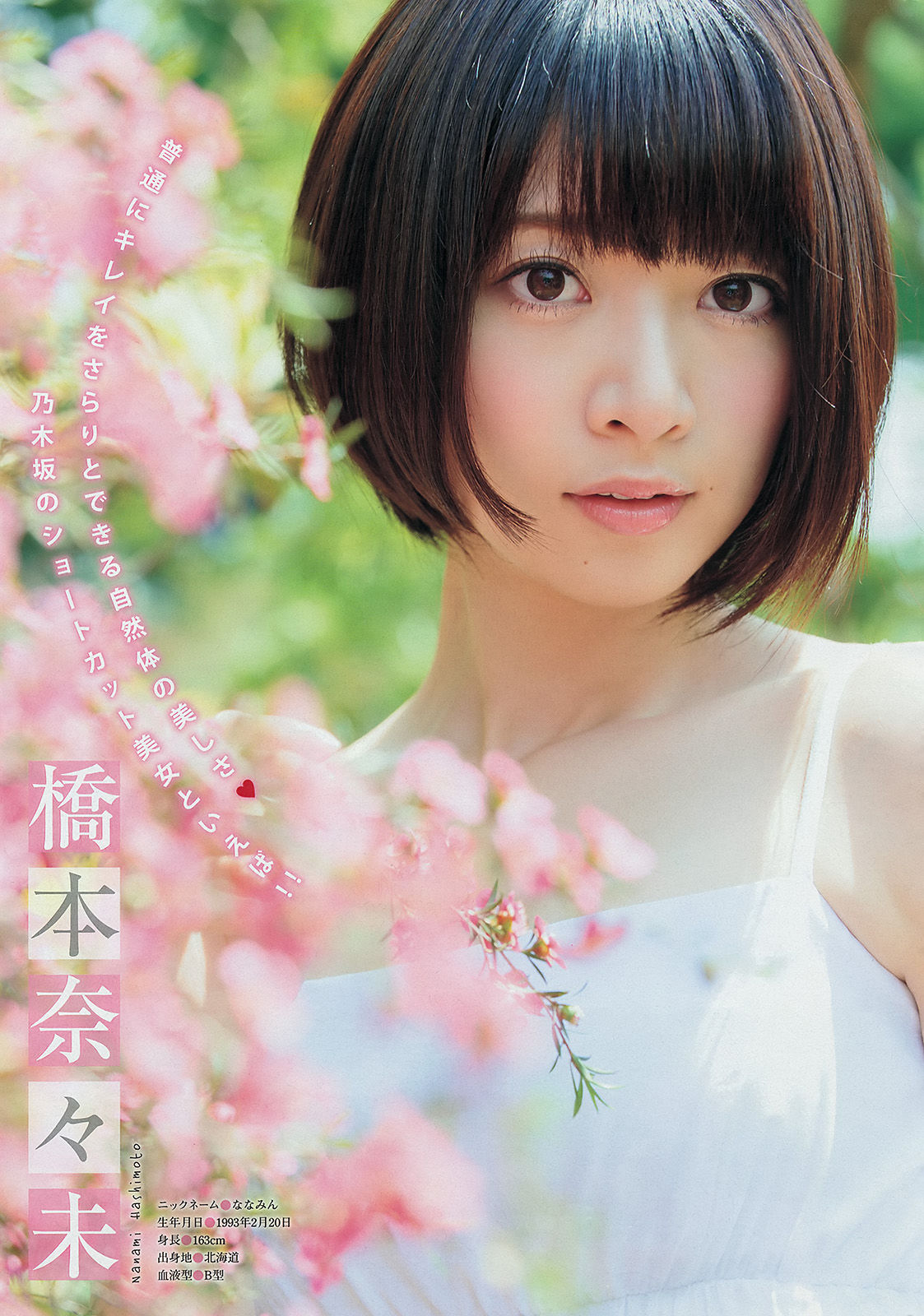 [Young Magazine] 2014年No.29 壇蜜 西野七瀬 橋本奈々未