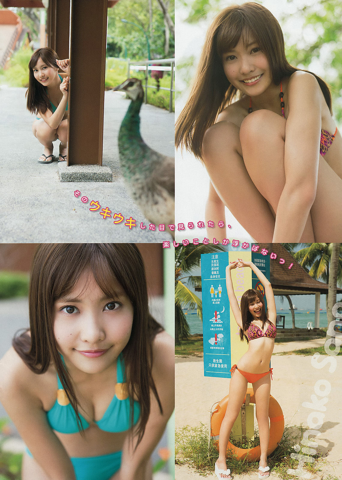 [Young Magazine] 2015年No.14 マギー 佐野ひなこ