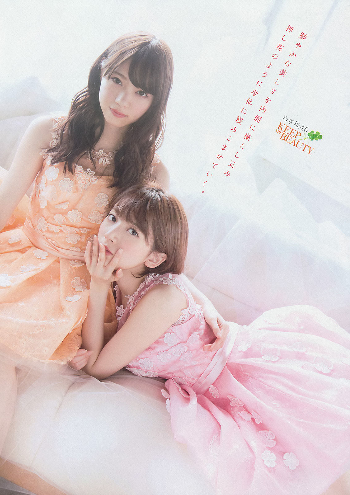 [Young Magazine] 2015年No.16 西野七瀬 橋本奈々未