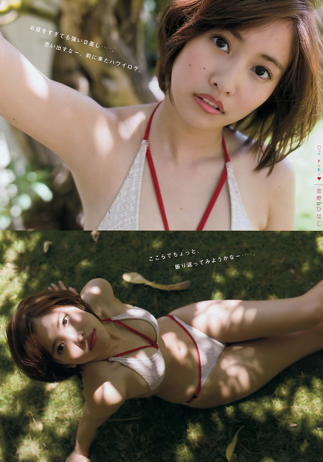 [Young Magazine] 2016年No.29 佐野ひなこ 原野愛弓
