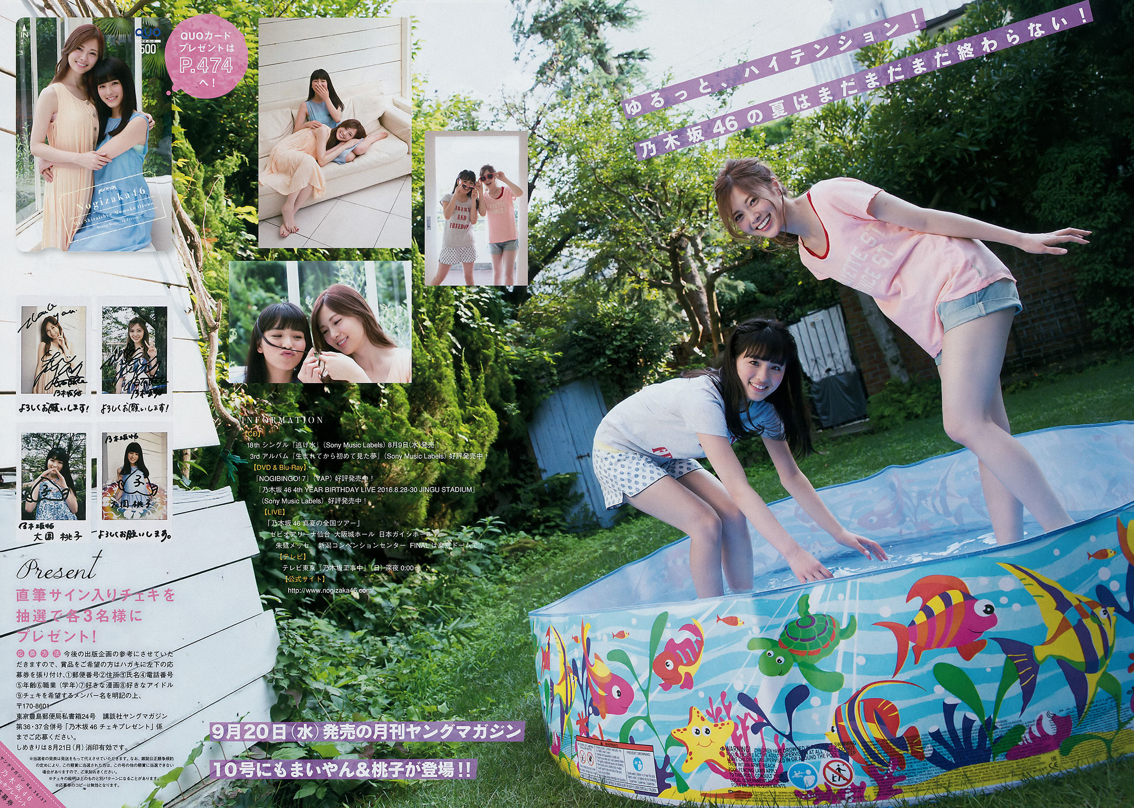 [Young Magazine] 2017年No.36-37 白石麻衣 大園桃子 HKT48