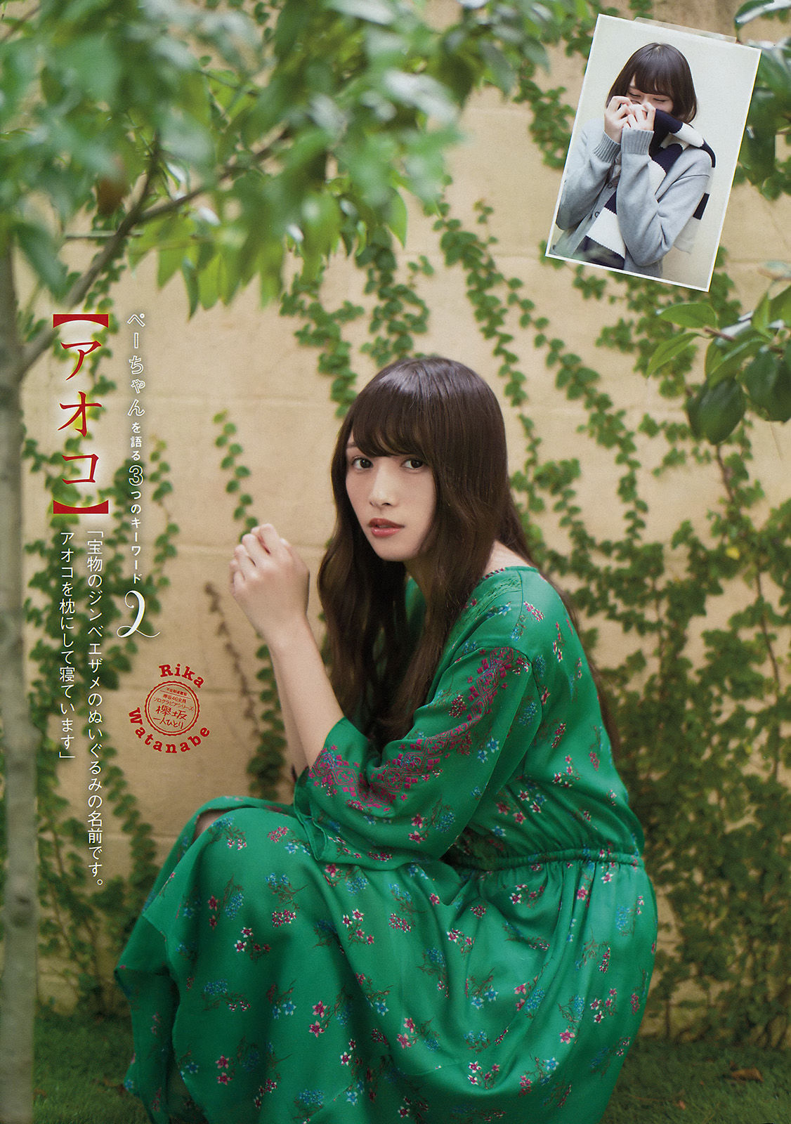 [Young Magazine] 2017年No.45 はるかぜ 渡辺梨加