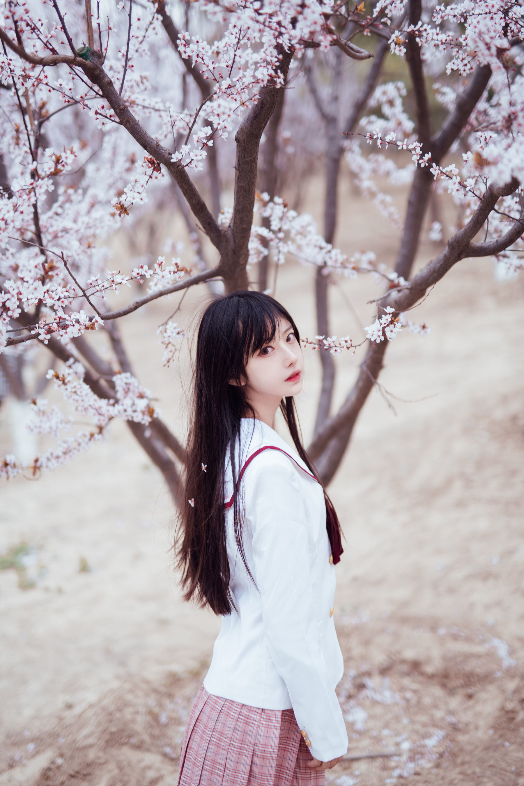 [萝莉COS] Shika小鹿鹿 - 樱花