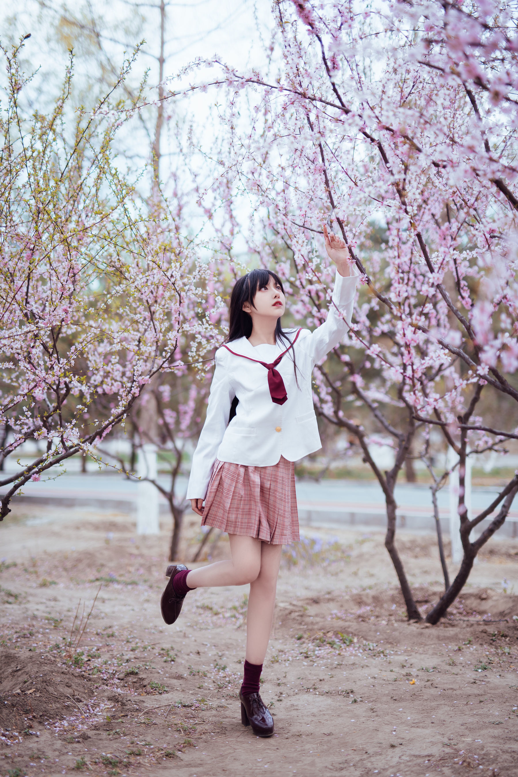 [萝莉COS] Shika小鹿鹿 - 樱花