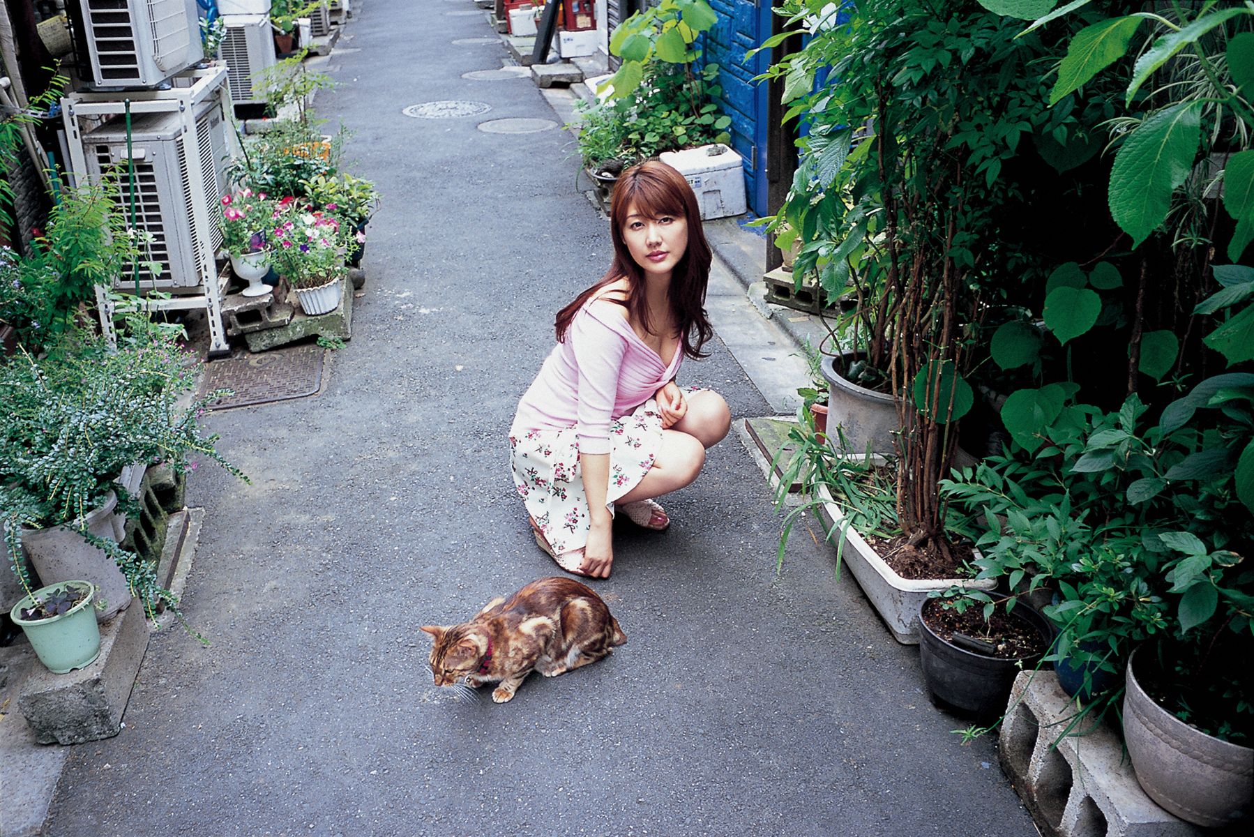 [Wanibooks] NO.71 Megumi Yasu 安めぐみ/安惠美