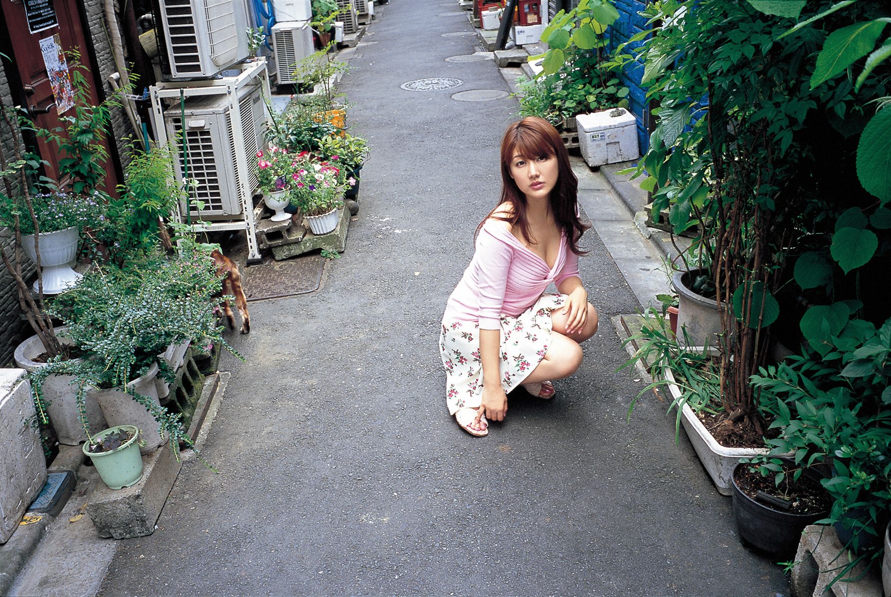 [Wanibooks] NO.71 Megumi Yasu 安めぐみ/安惠美