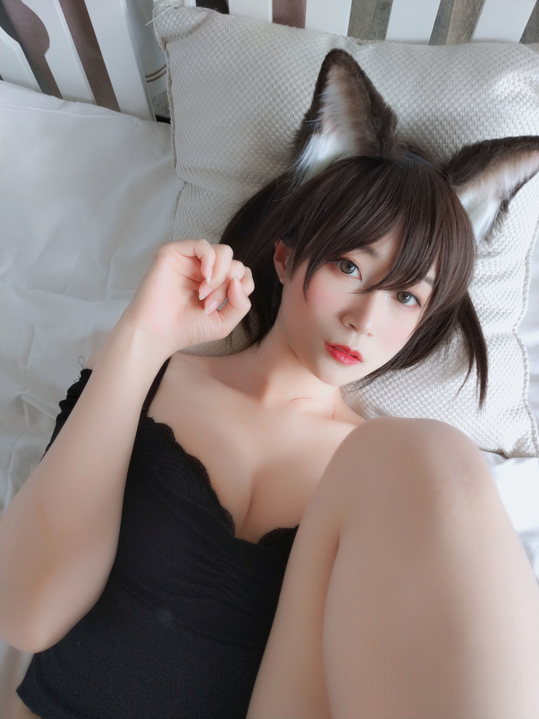 [萝莉COS] 白银 - 布偶猫