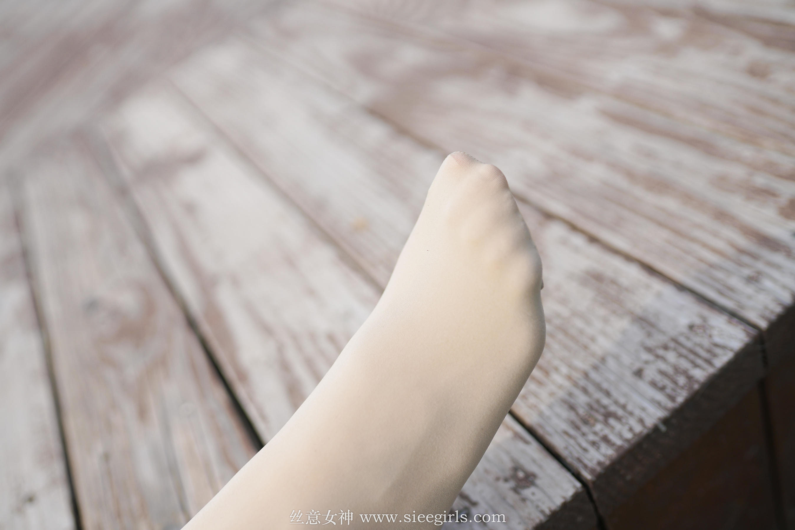[丝意SIEE] 蓓蓓 心若有情，何处不风景
