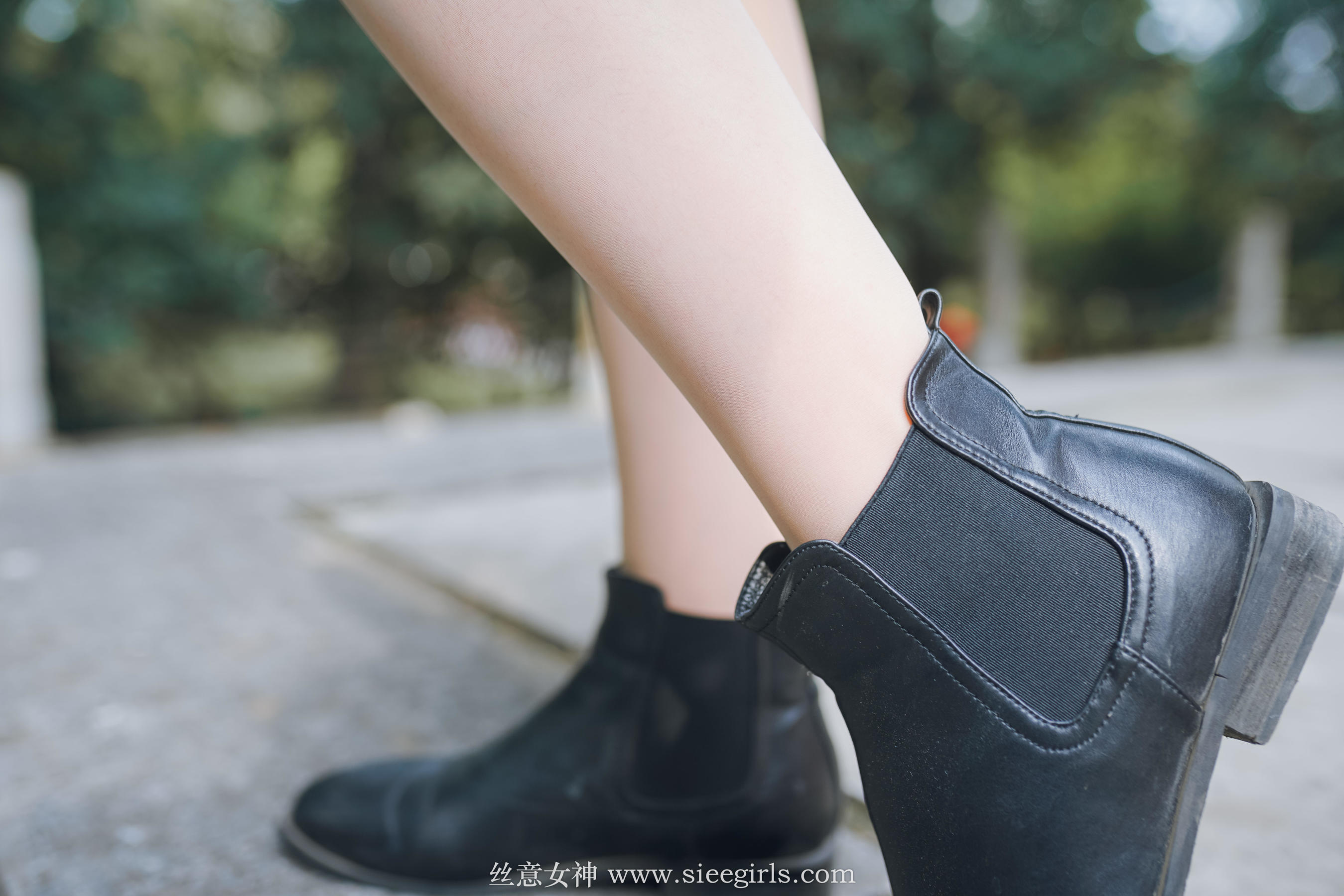 [丝意SIEE] 雪儿 落叶的情愫