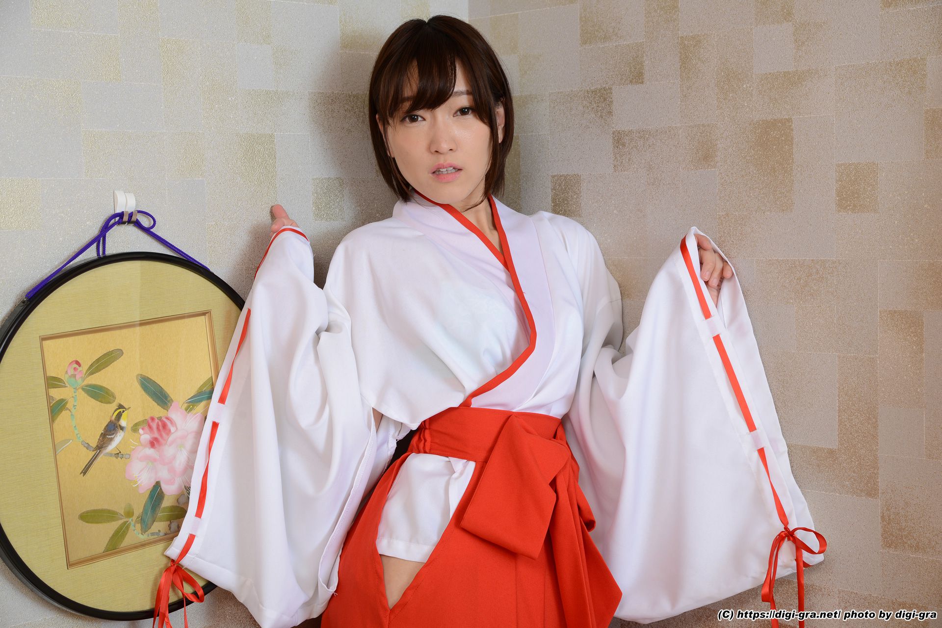 [Digi-Gra] Ameri Hoshi 星あめり Photoset 09