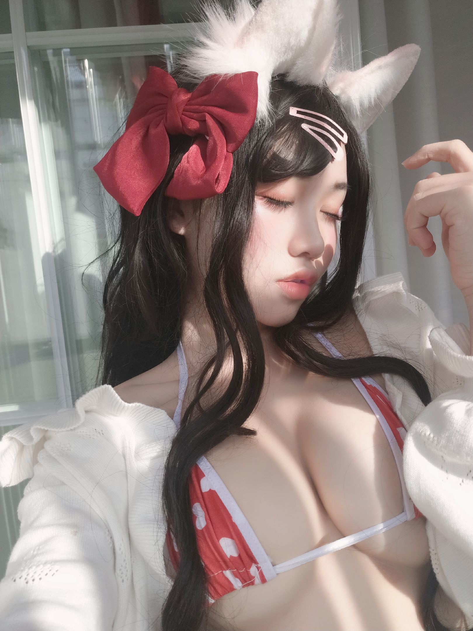 一笑芳香沁写真 窗与宠物猫