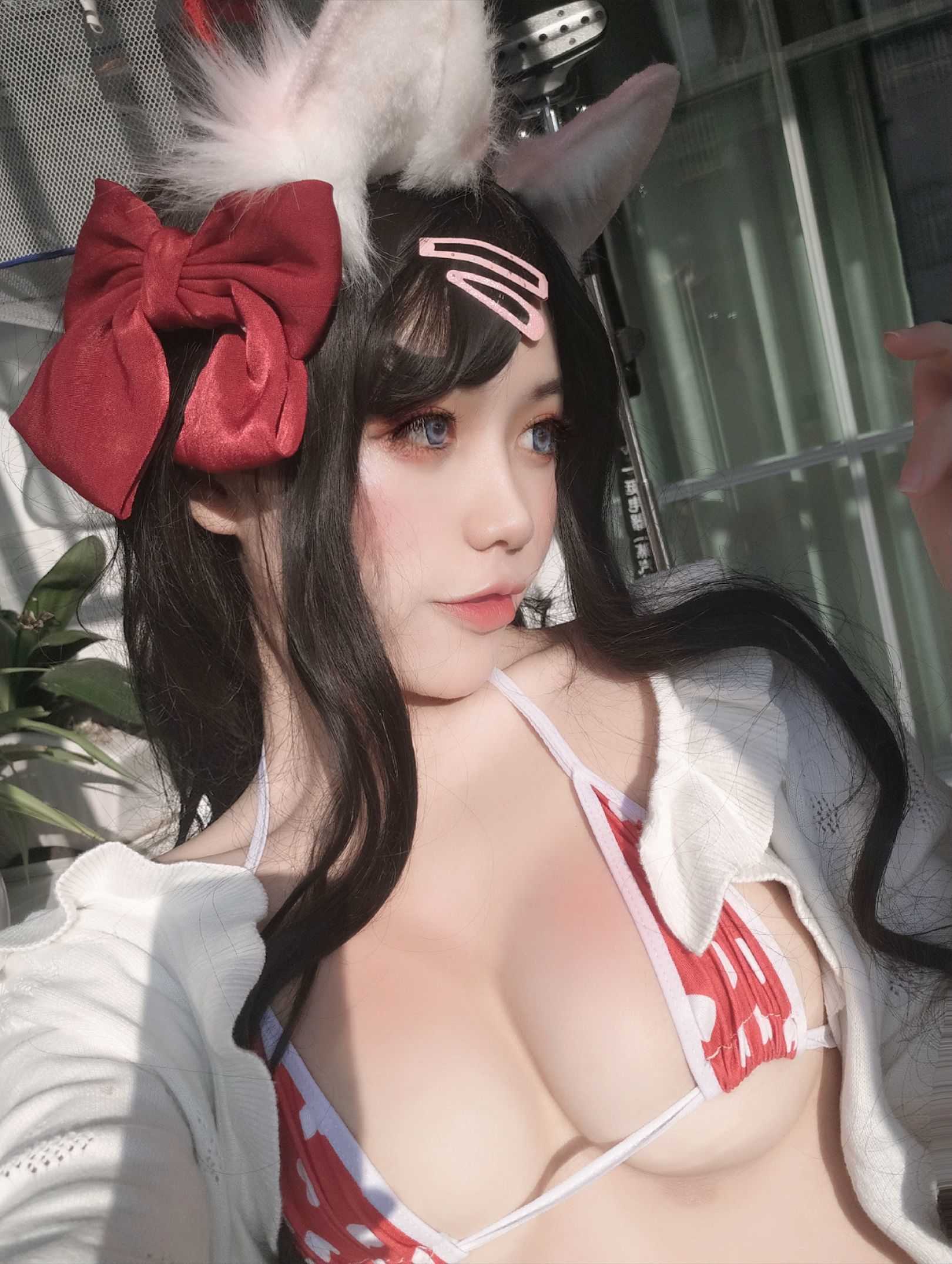 一笑芳香沁写真 窗与宠物猫