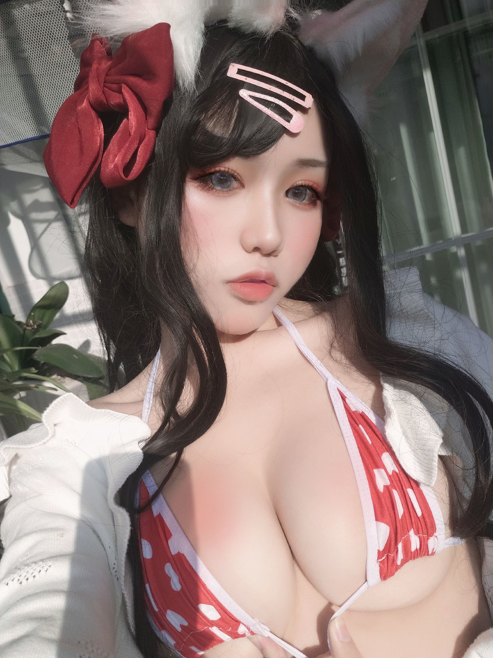 一笑芳香沁写真 窗与宠物猫