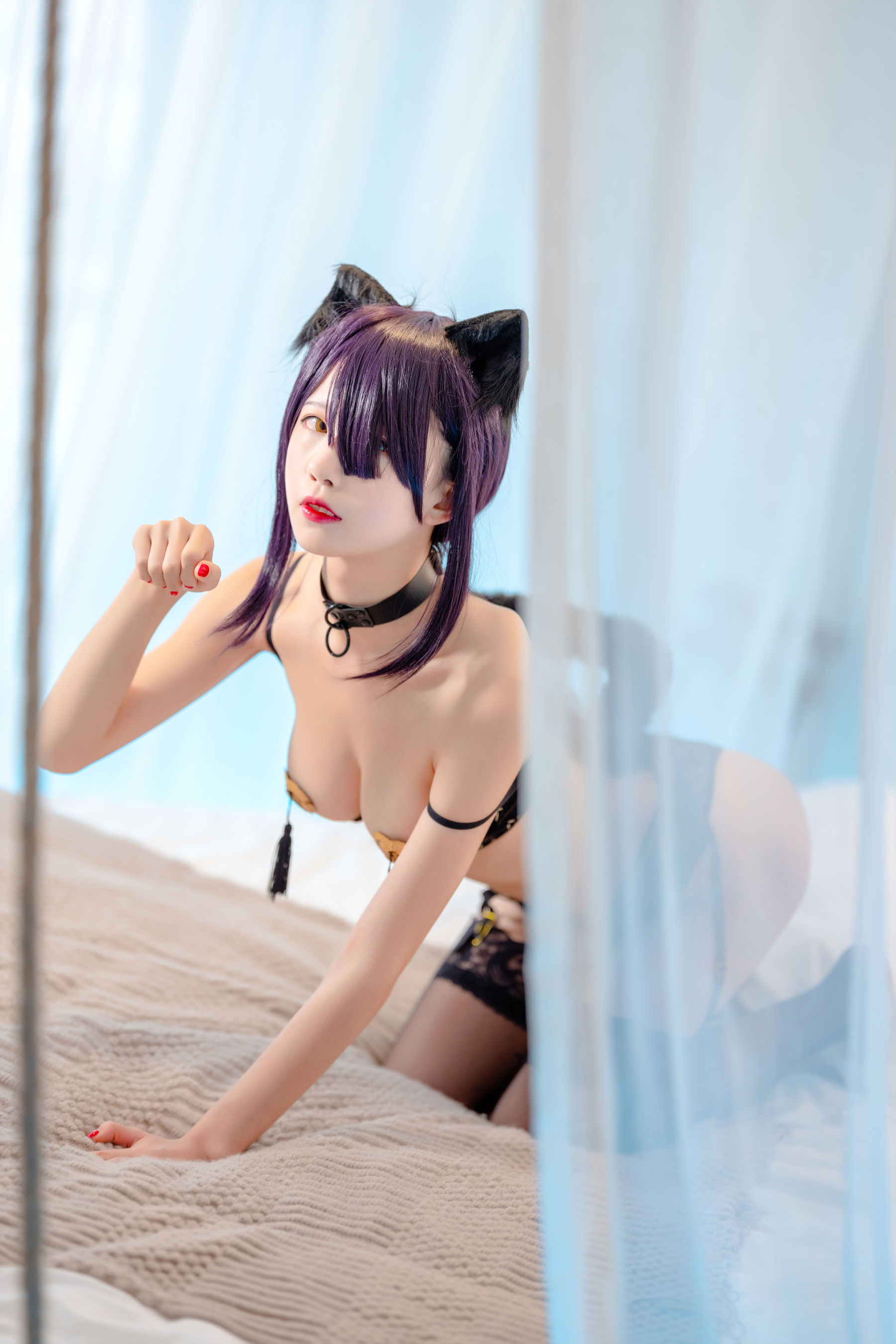 动漫博主水淼aqua 黑猫