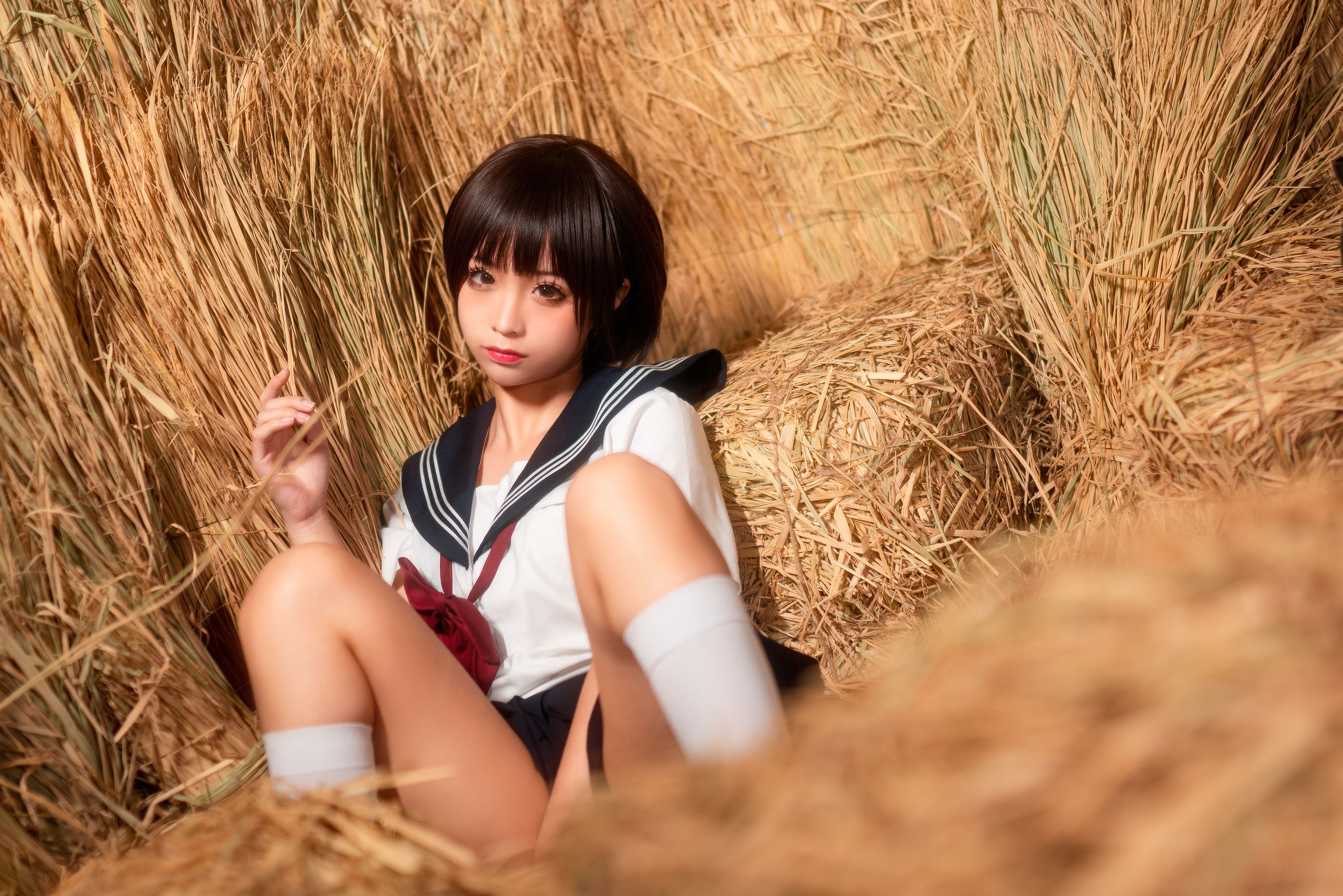 动漫博主蠢沫沫 稻草里的少女