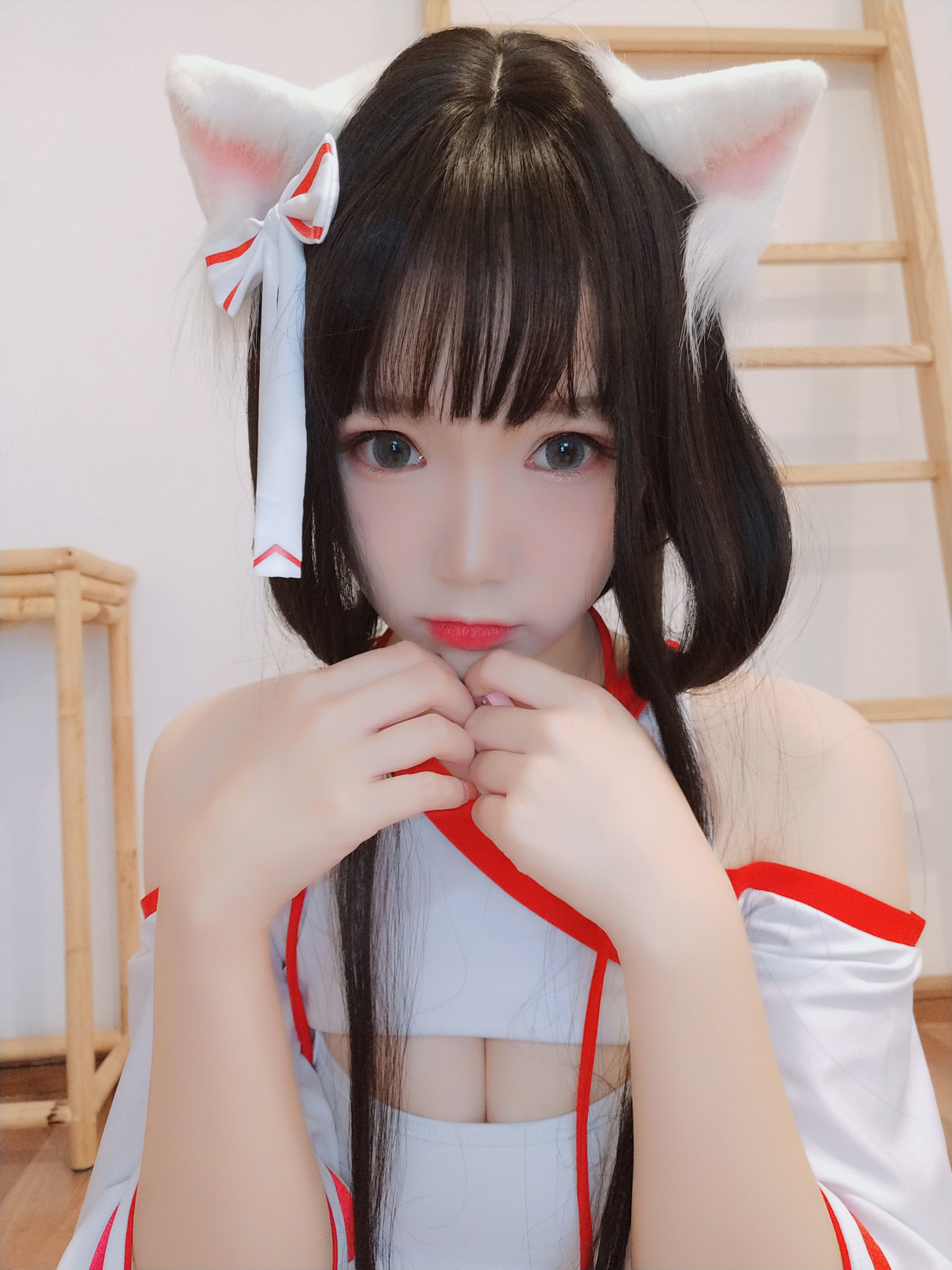 动漫博主雪晴Astra 神社の猫
