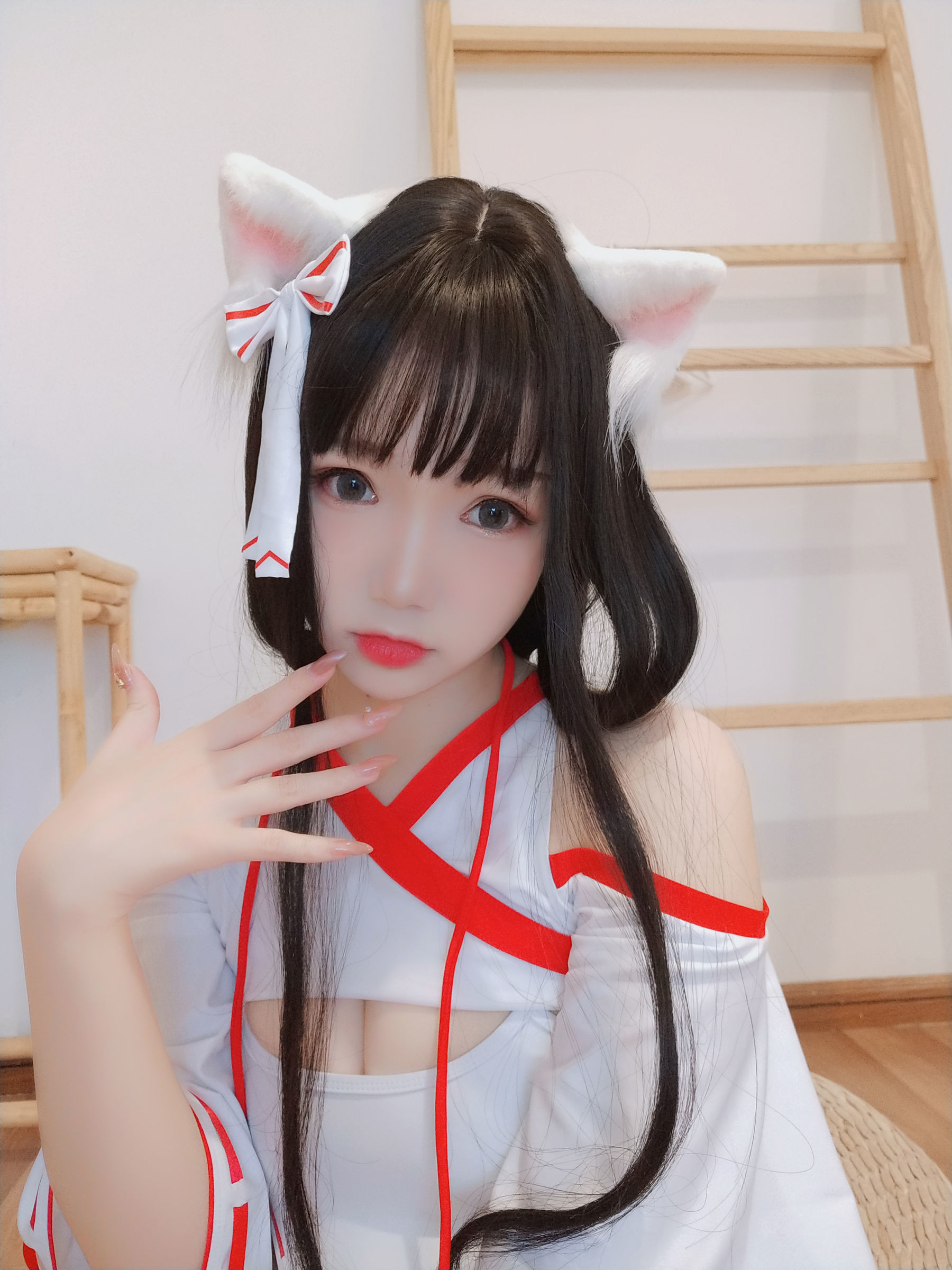 动漫博主雪晴Astra 神社の猫