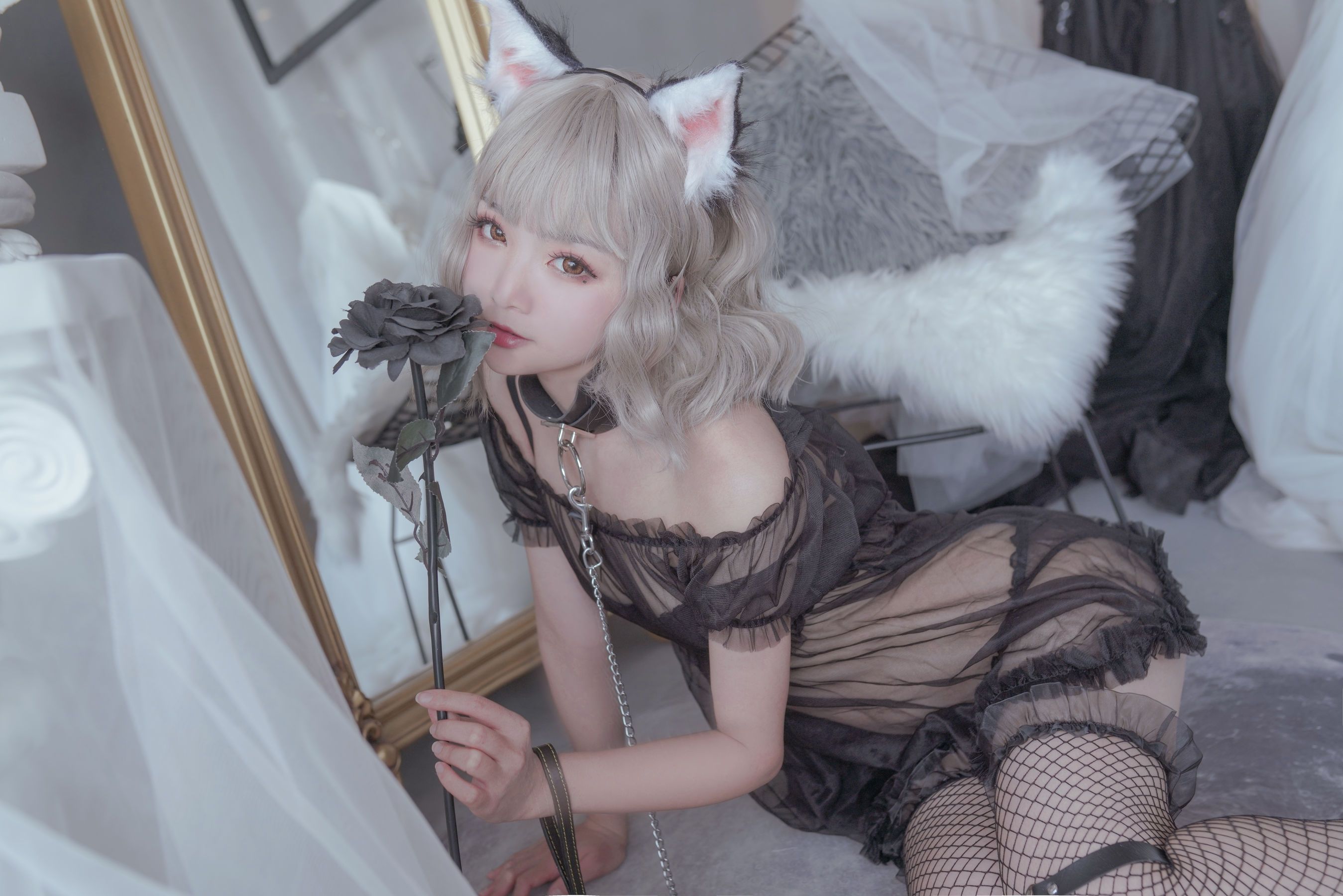 Cosplay日奈娇 猫与兔