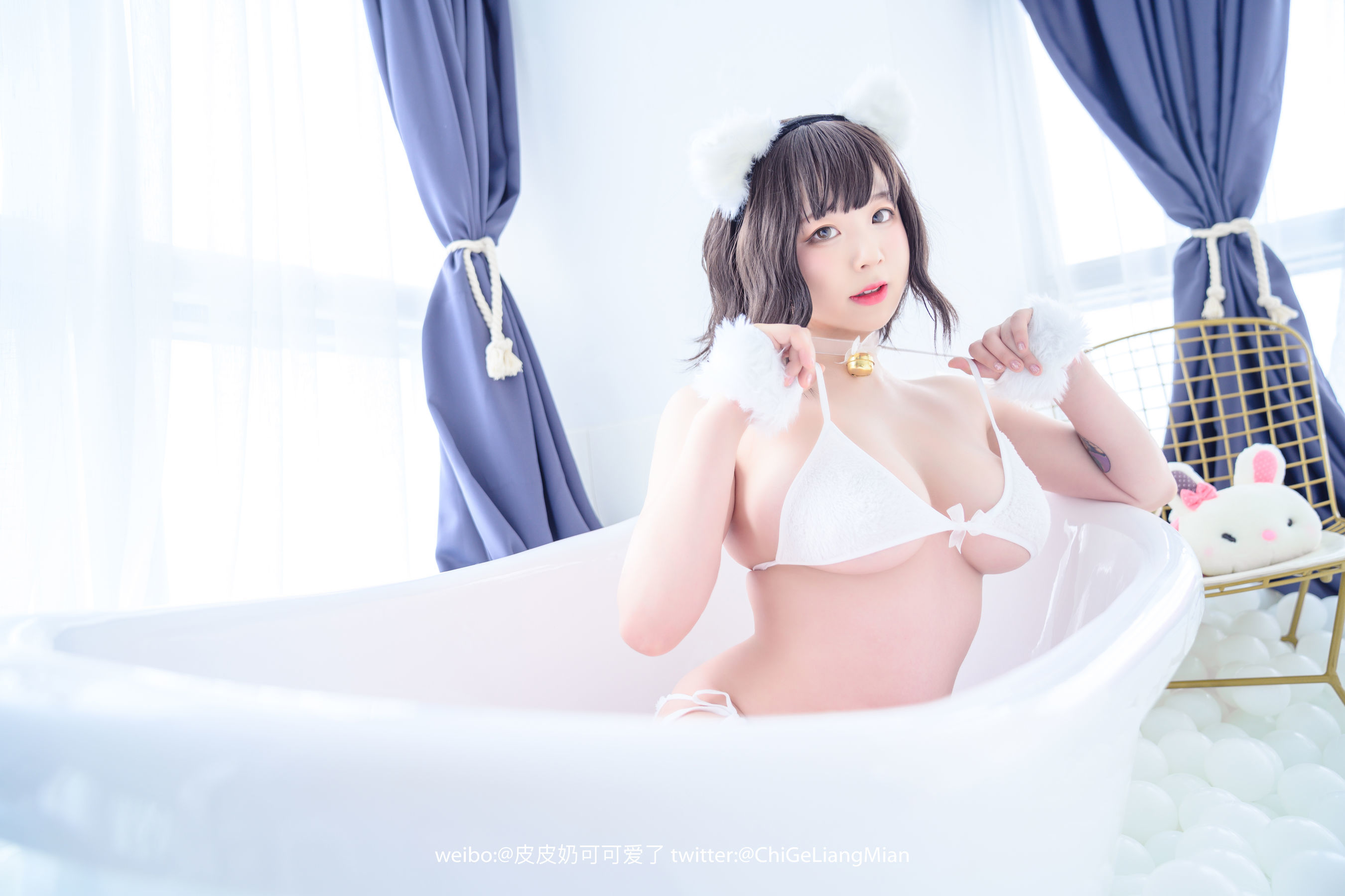 皮皮奶可可爱了啦 白猫