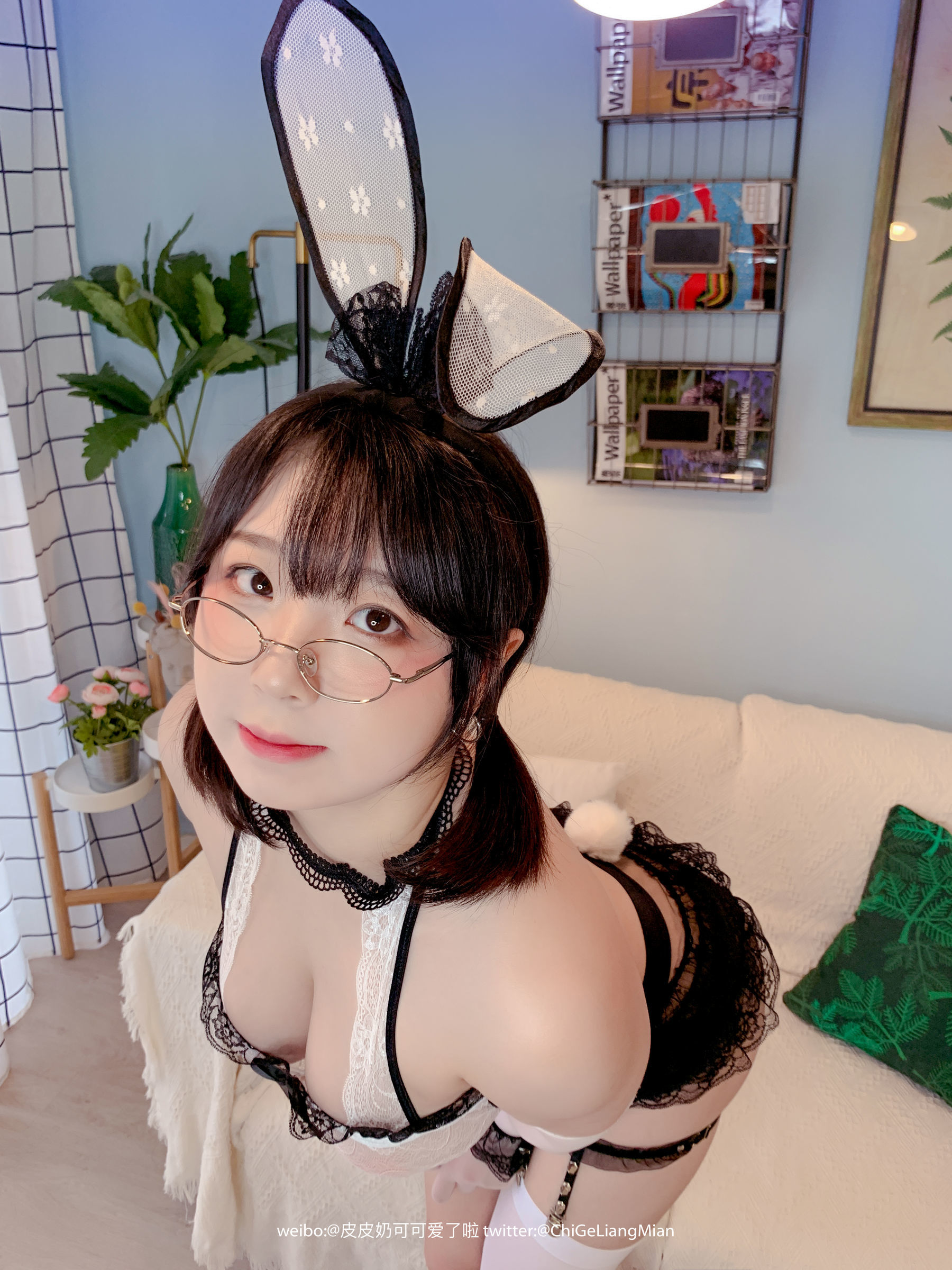 皮皮奶可可爱了啦 蕾丝兔兔