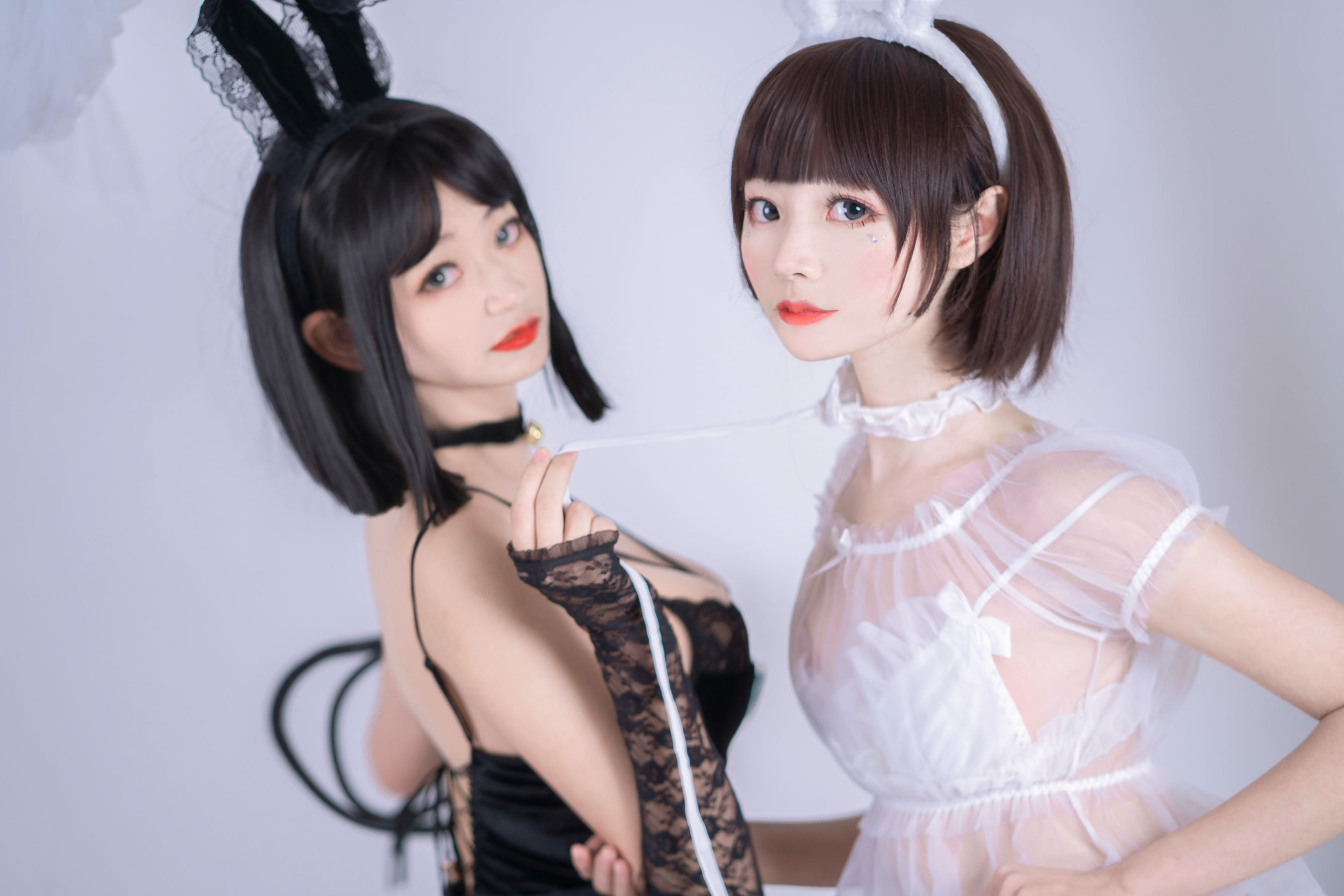 薄墨锦狐&三笑 黑白兔子私房百合