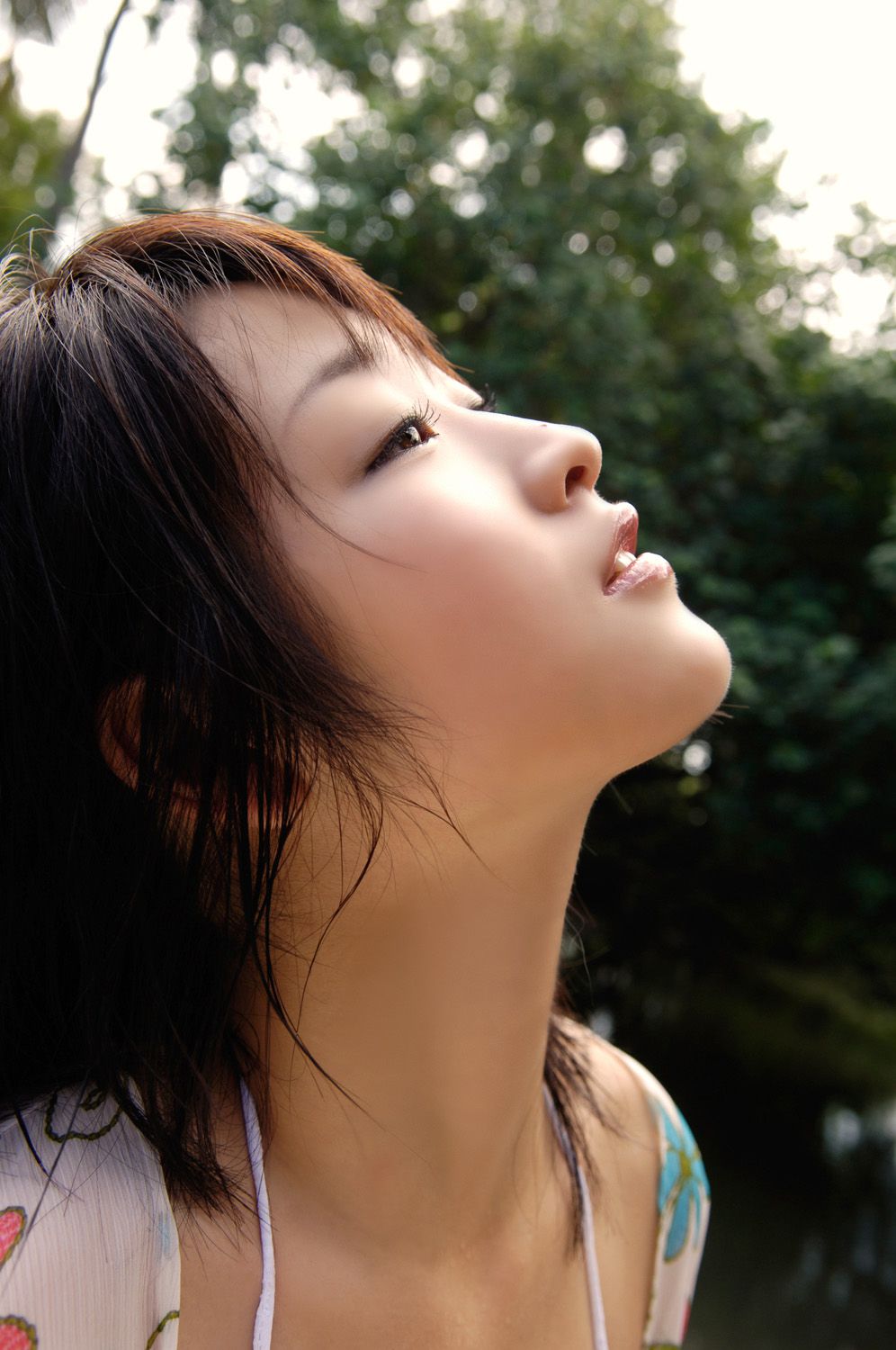 [DGC] NO.343 Risa Shimamoto 島本里沙