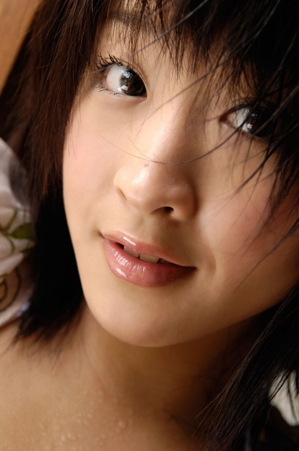 [DGC] NO.343 Risa Shimamoto 島本里沙