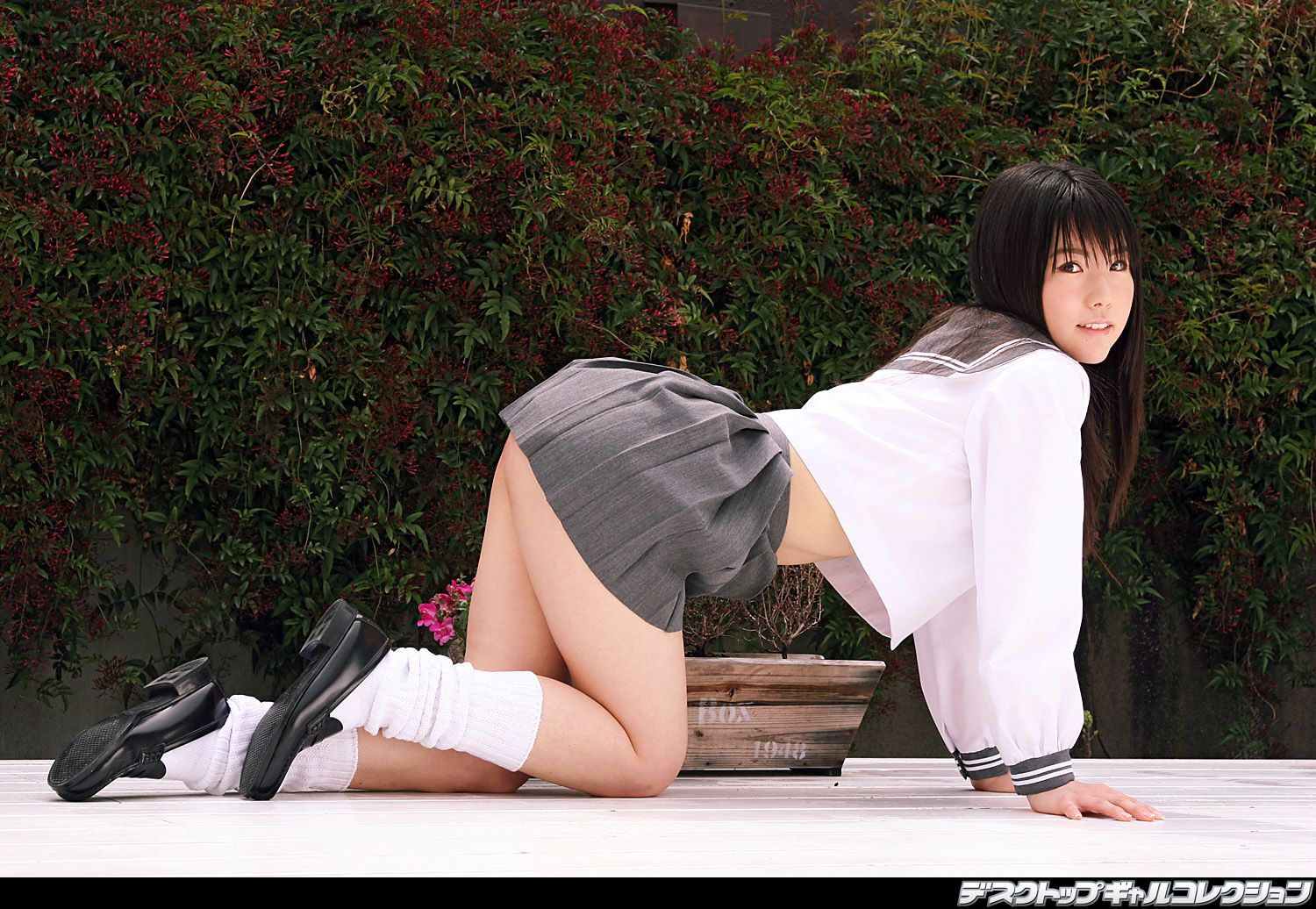[DGC] NO.446 Moe Wakaki 若木萌 制服美少女天国