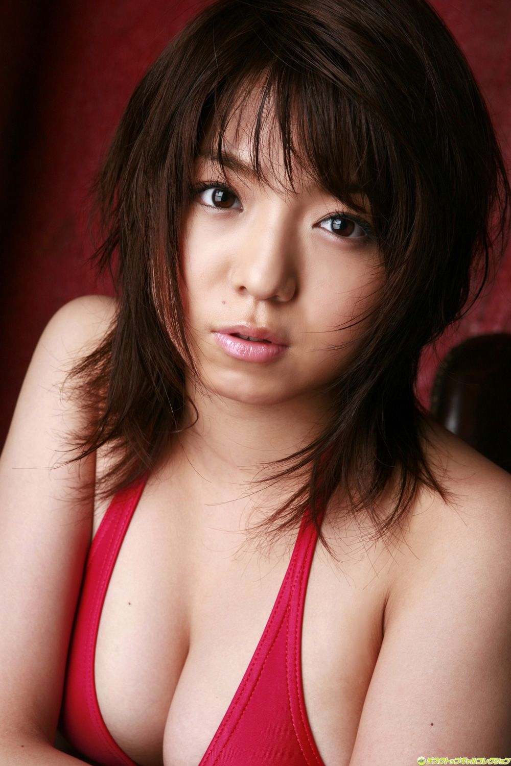 [DGC] NO.529 Shizuka Nakamura 中村静香 Top Idols