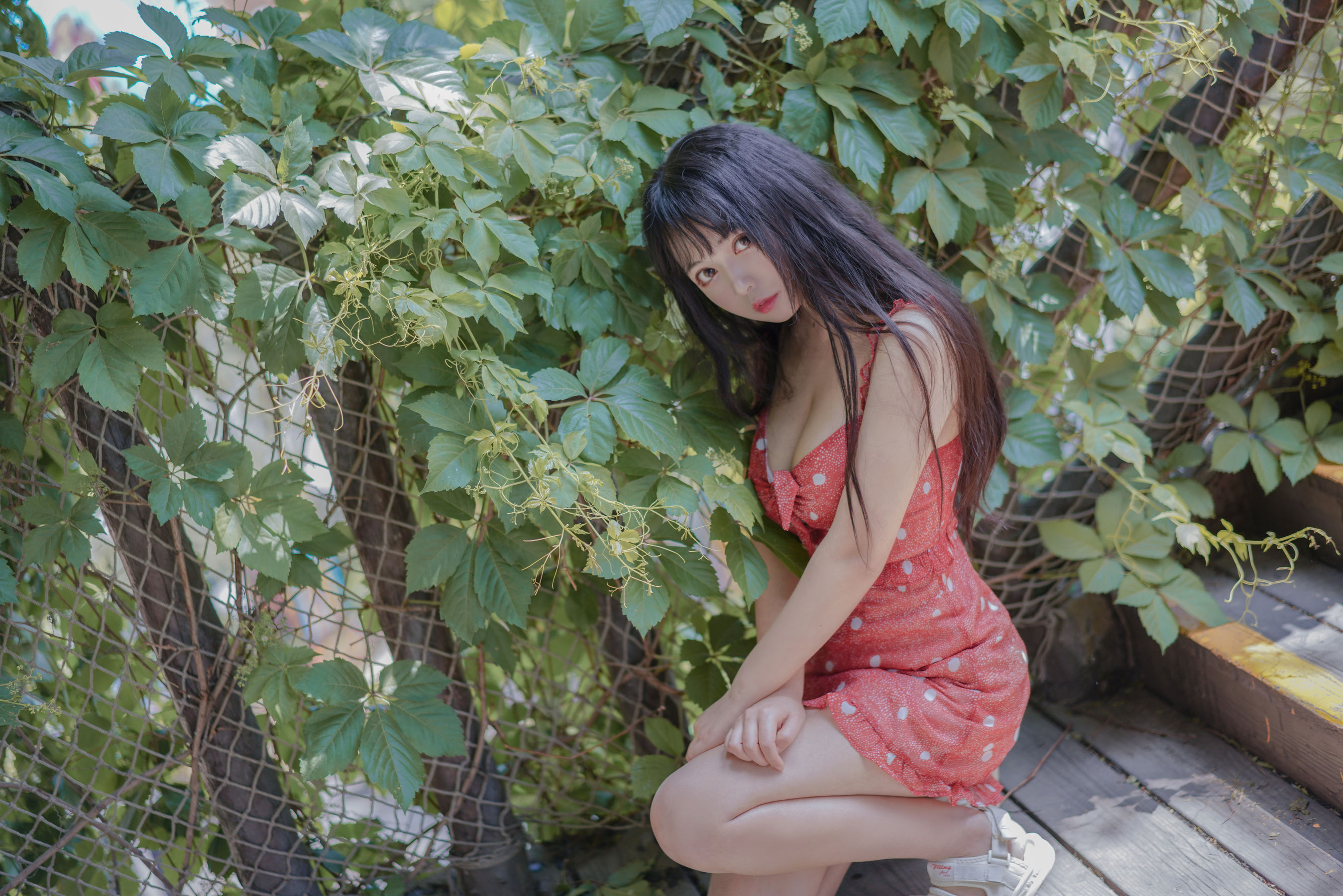 [Cosplay写真] 大眼萌妹黑猫猫OvO - 草莓