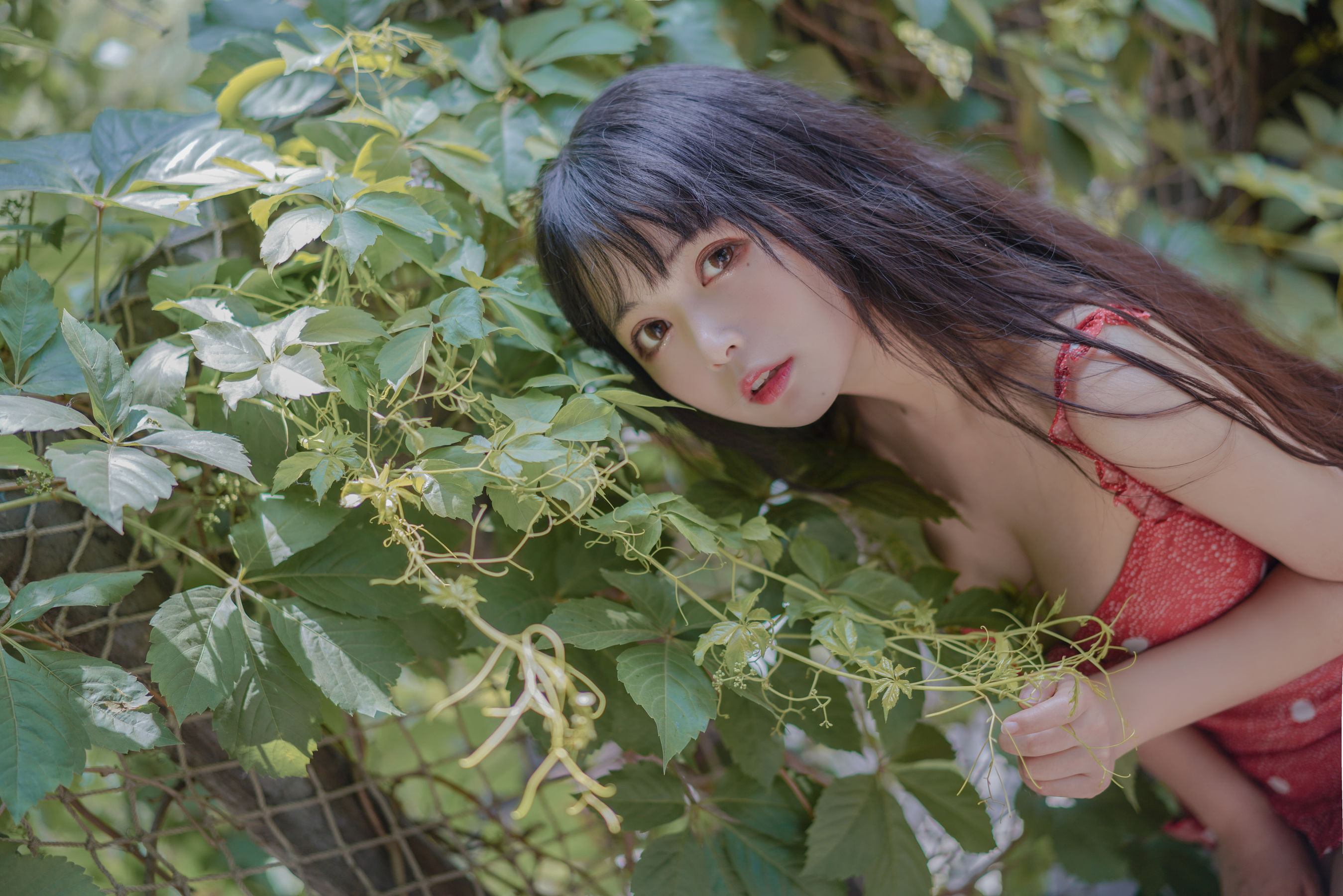 [Cosplay写真] 大眼萌妹黑猫猫OvO - 草莓