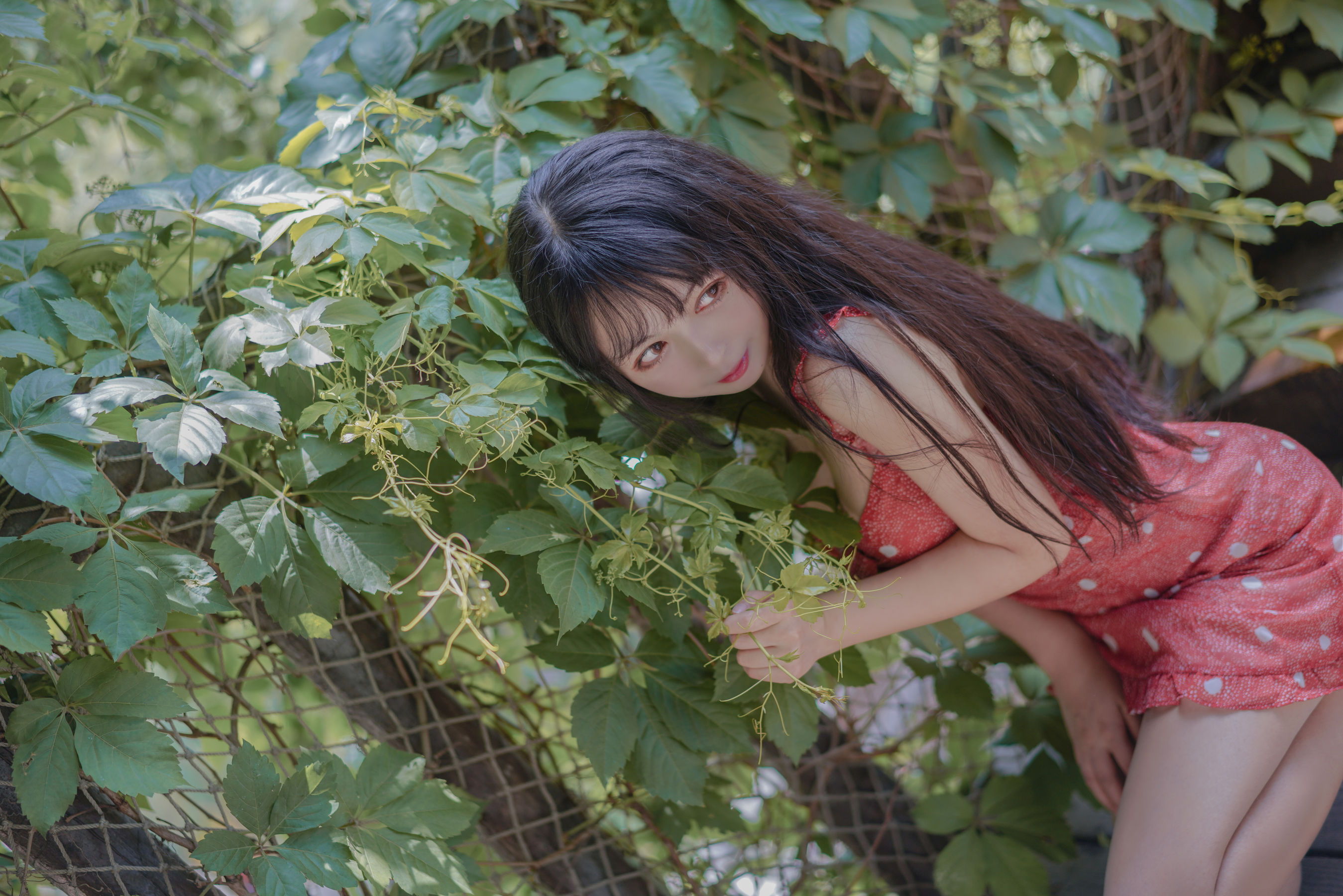 [Cosplay写真] 大眼萌妹黑猫猫OvO - 草莓