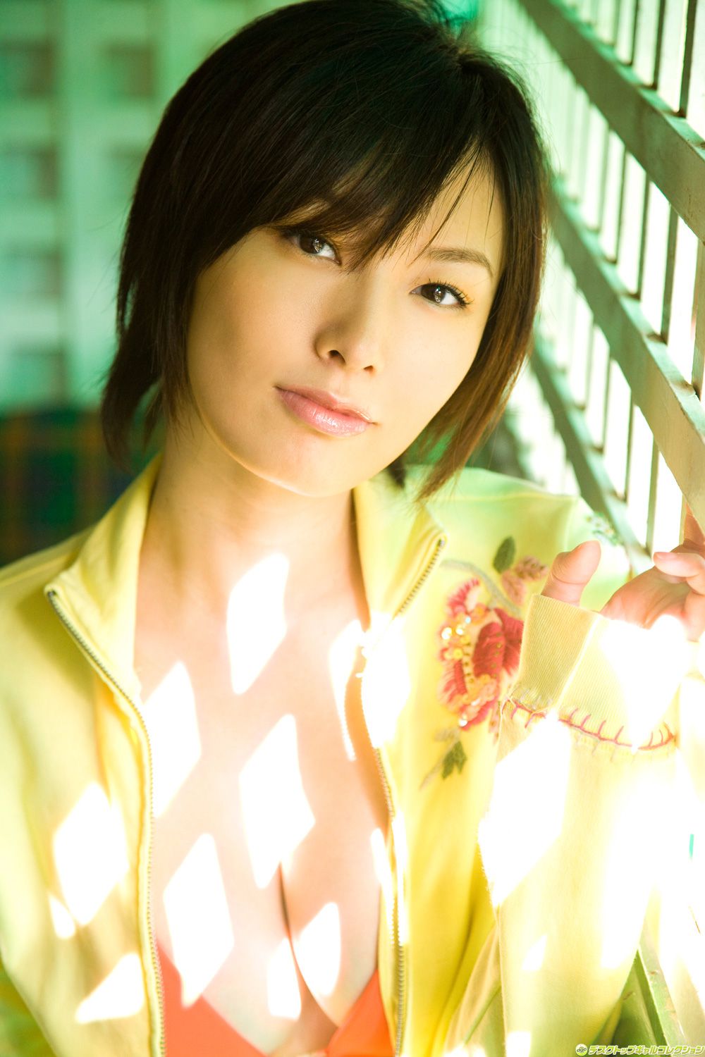 [DGC] NO.600 Nao Nagasawa 長澤奈央 Gravure Idols