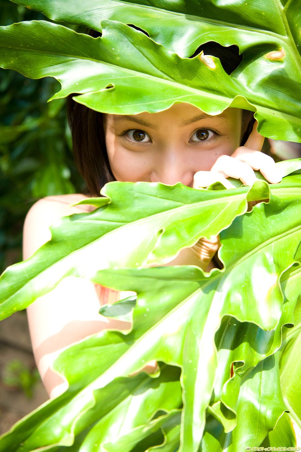 [DGC] NO.610 Saaya Irie 紗綾 Gravure Idols