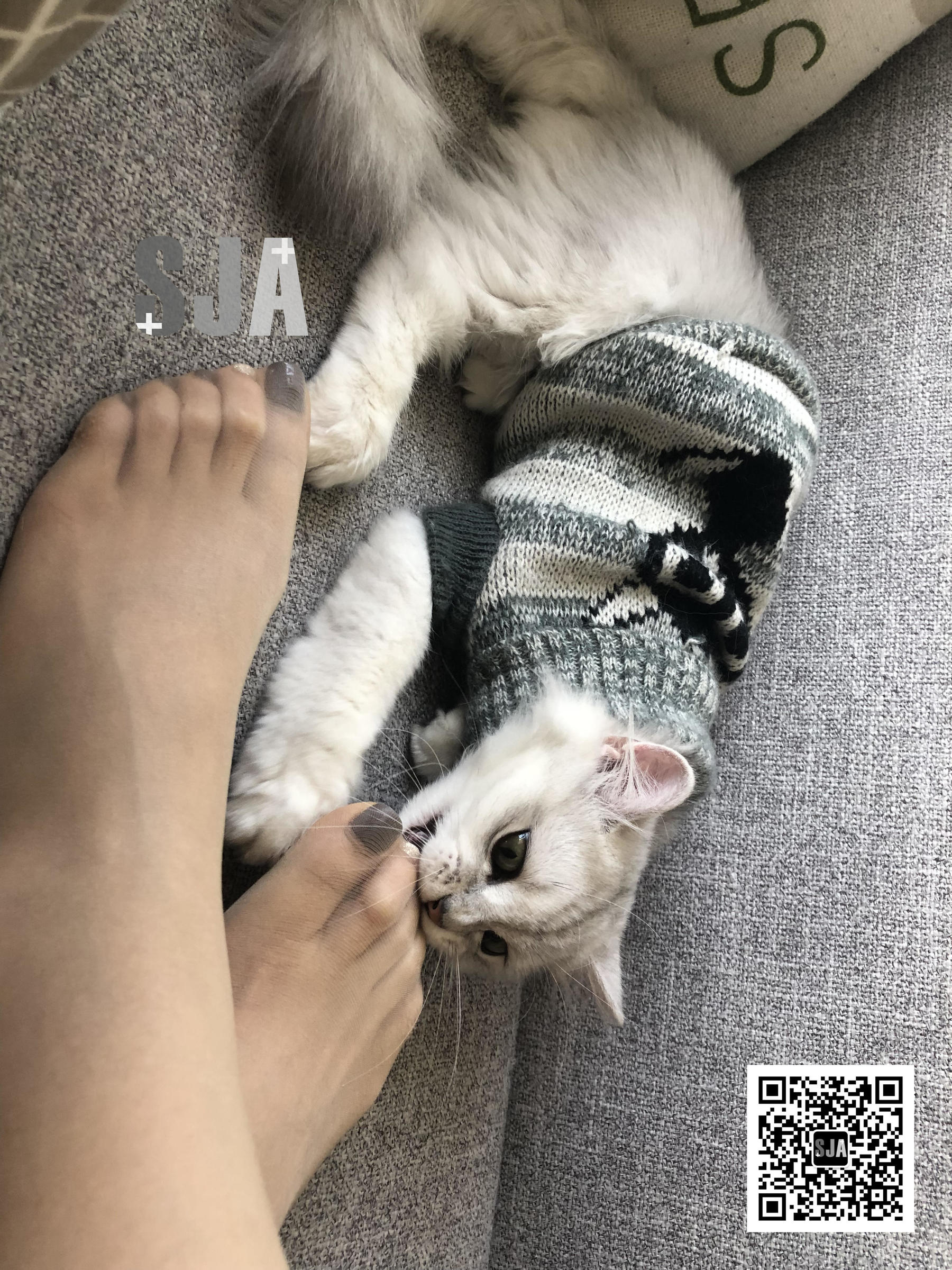 [佳爷SJA] Vol.013 佳爷 闺蜜视角《喵》