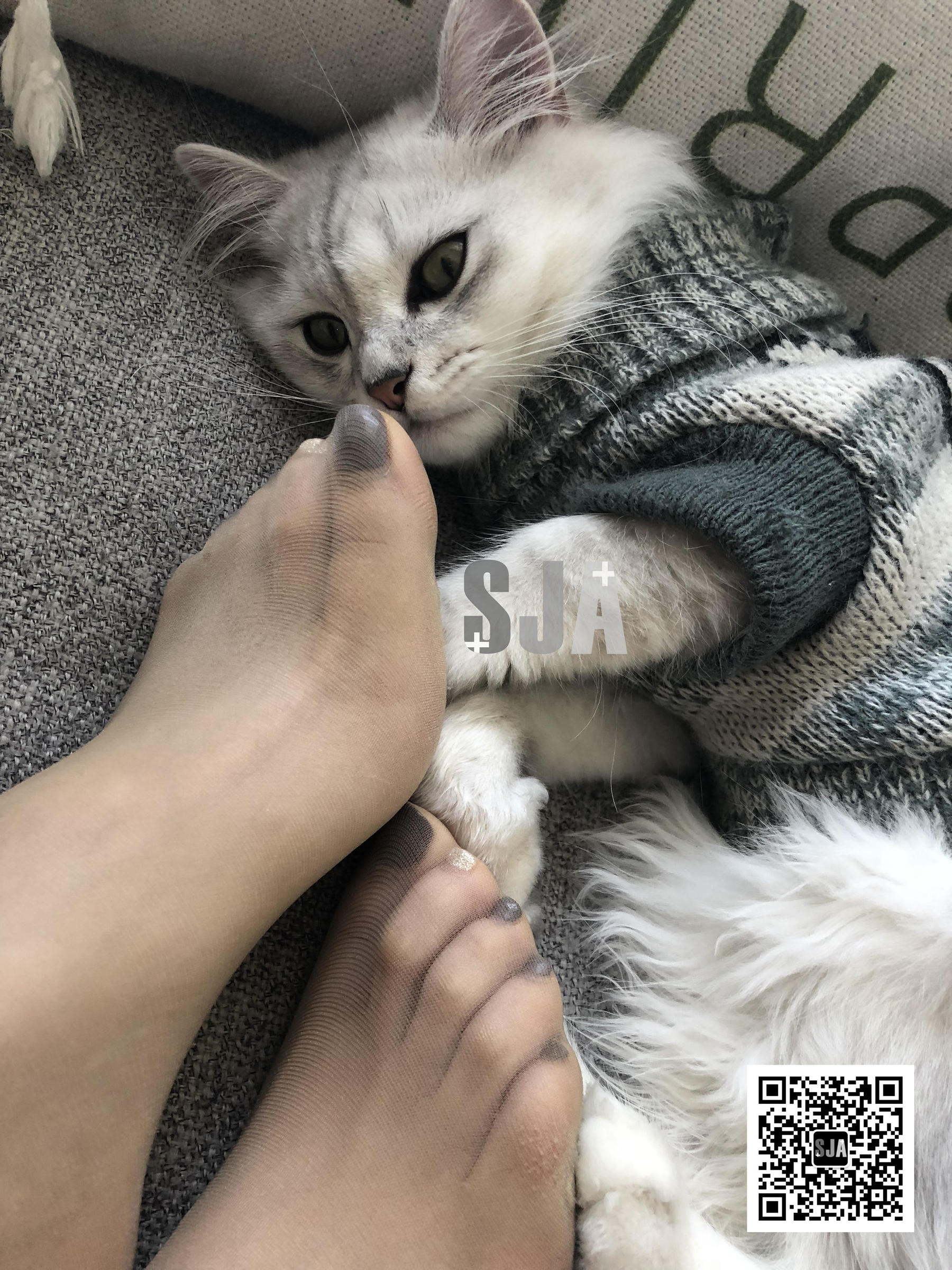 [佳爷SJA] Vol.013 佳爷 闺蜜视角《喵》