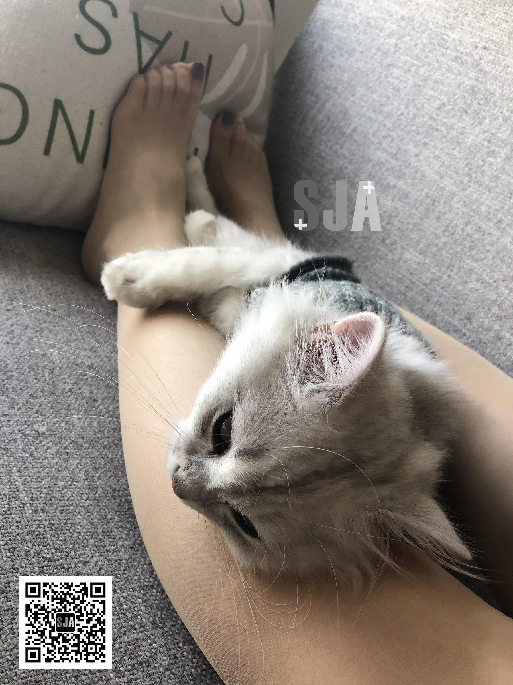 [佳爷SJA] Vol.013 佳爷 闺蜜视角《喵》