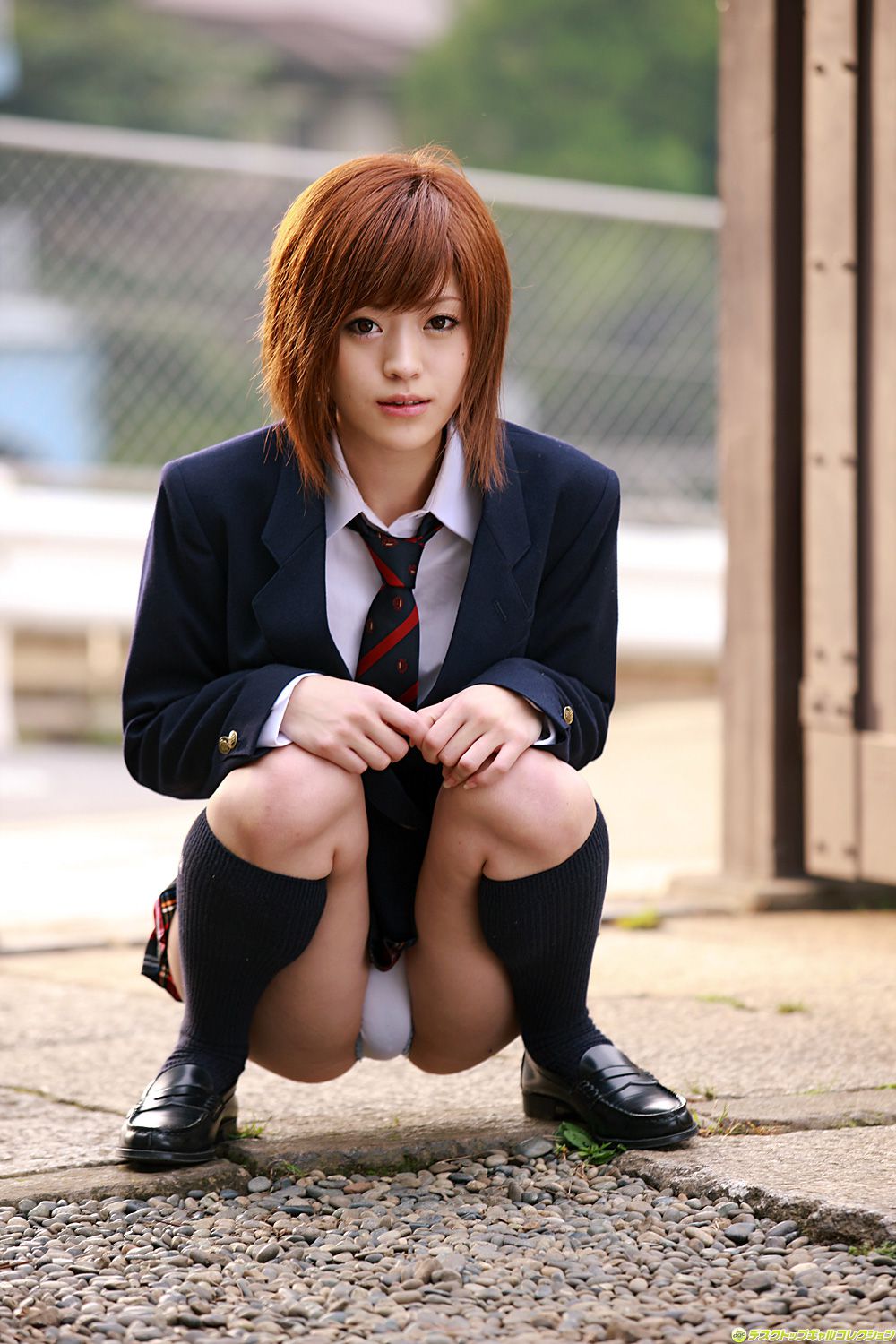 [DGC] NO.661 Azusa Itagaki 板垣あずさ/板垣梓  Adult Idols