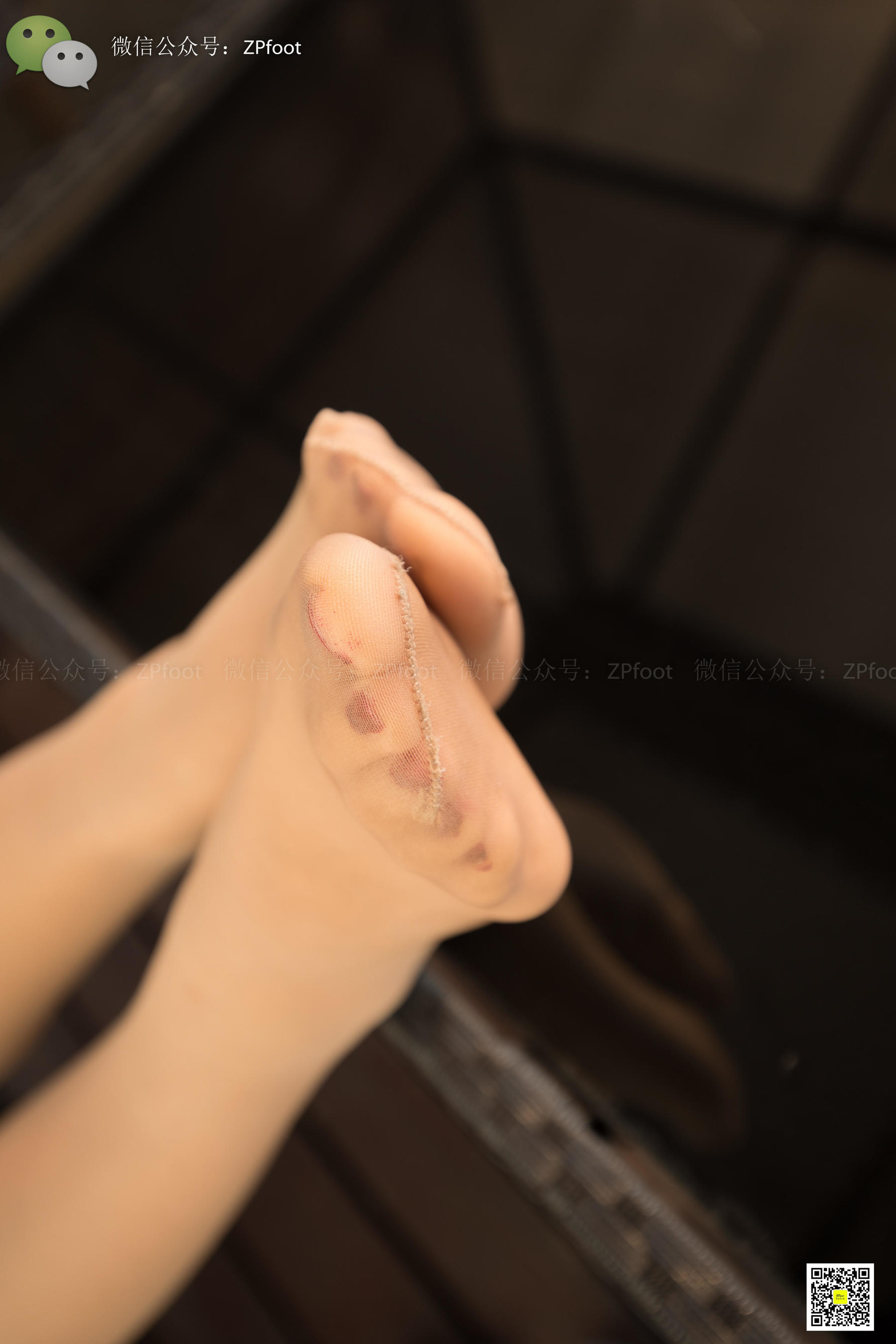 [山茶摄影LSS] NO.050  小第二季