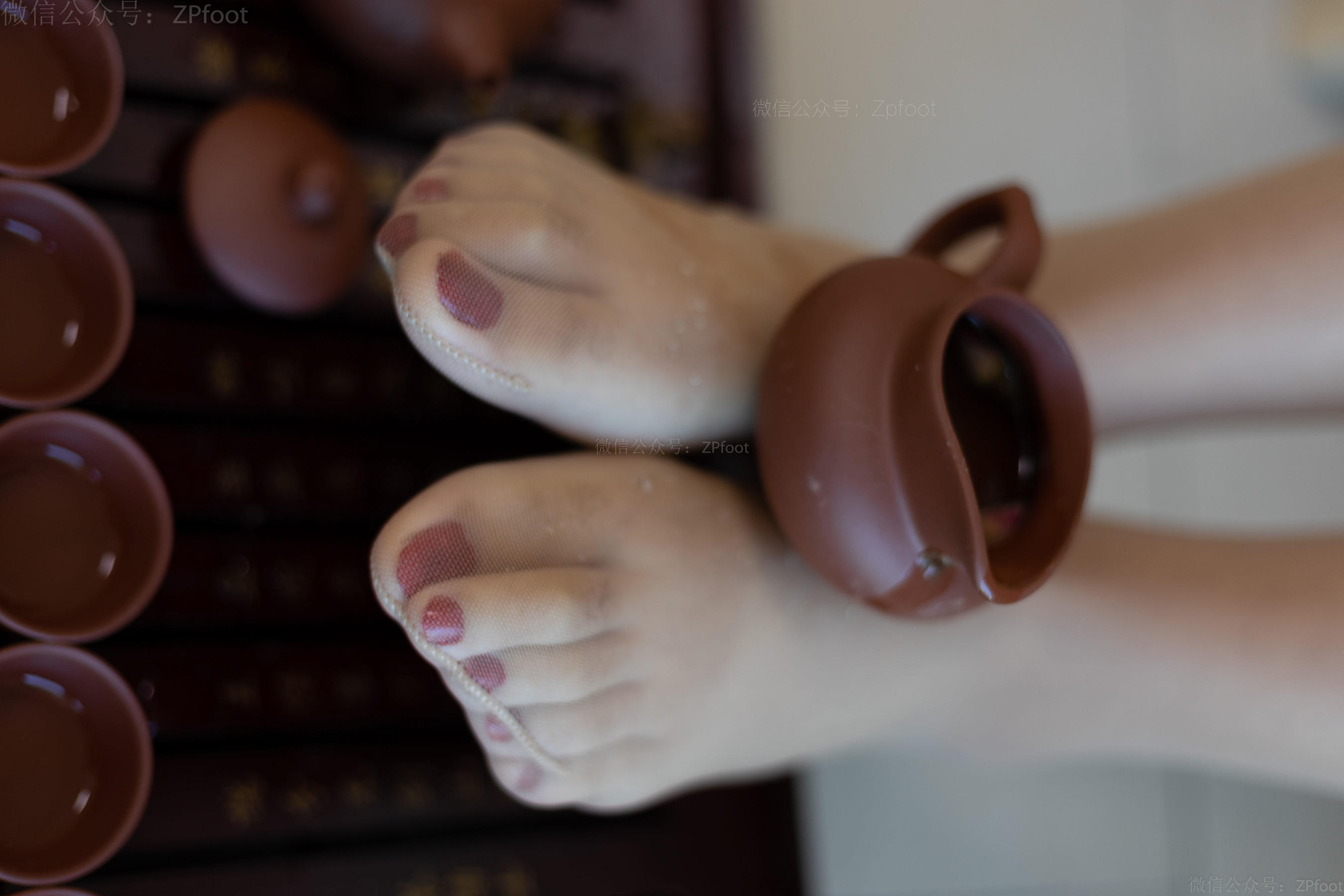 [山茶摄影LSS] NO.063  丝泡茶