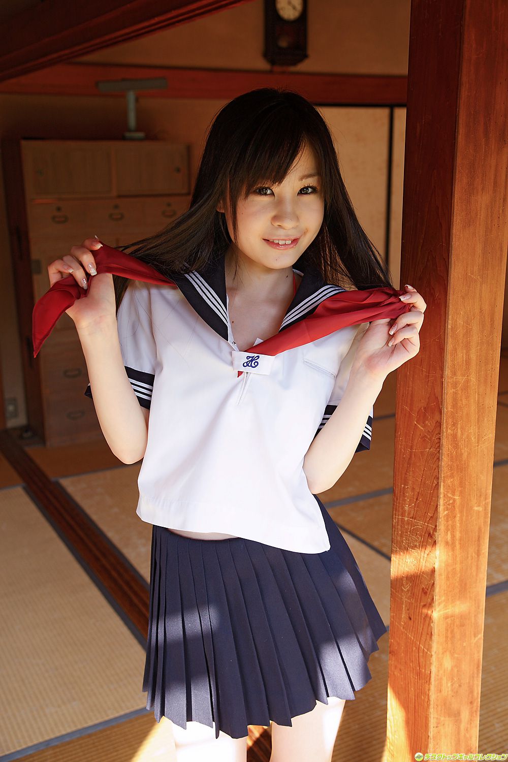 [DGC] NO.684 Lemon Mizutama 水玉レモン/水玉柠檬