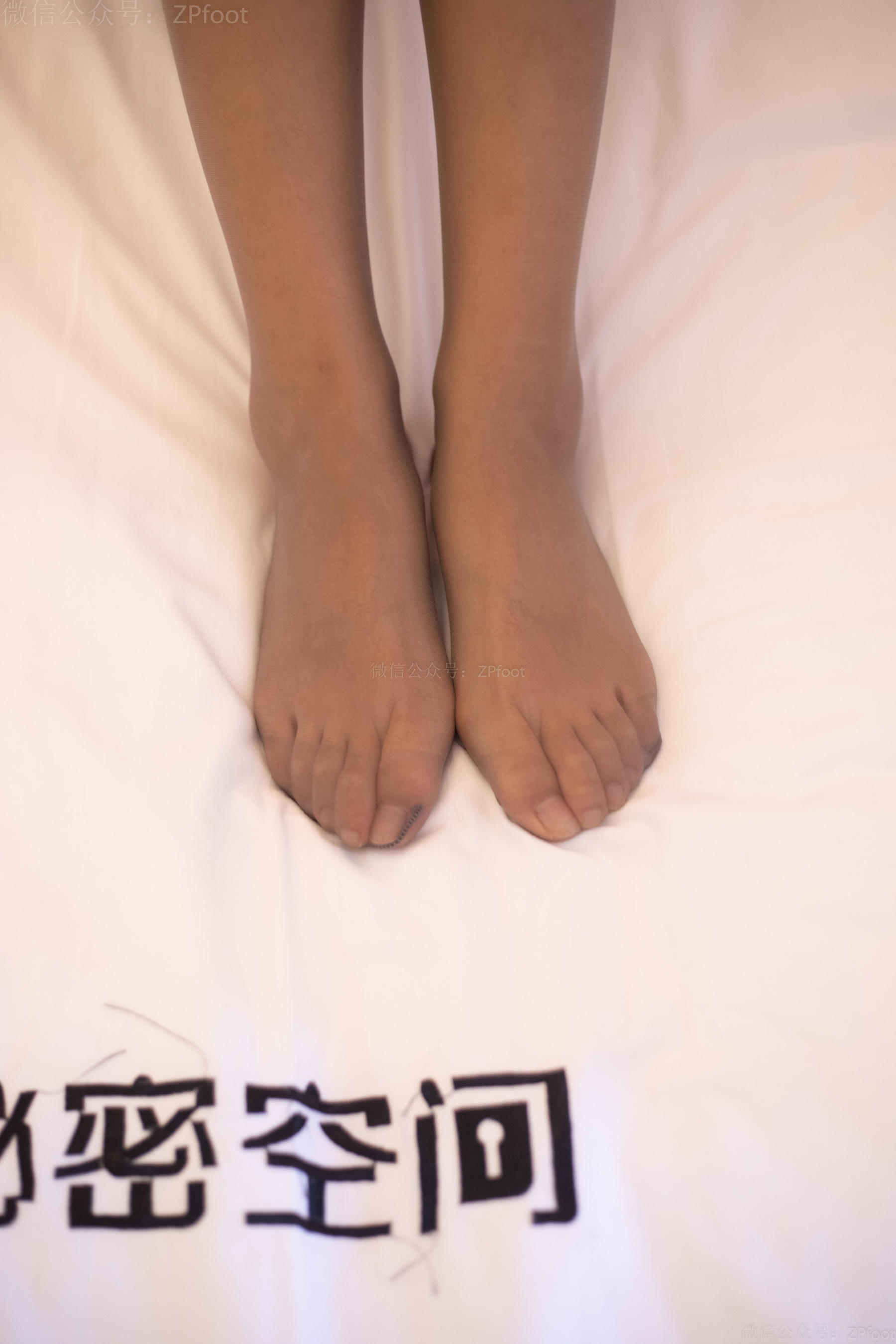 [山茶摄影LSS] NO.071  超薄灰丝