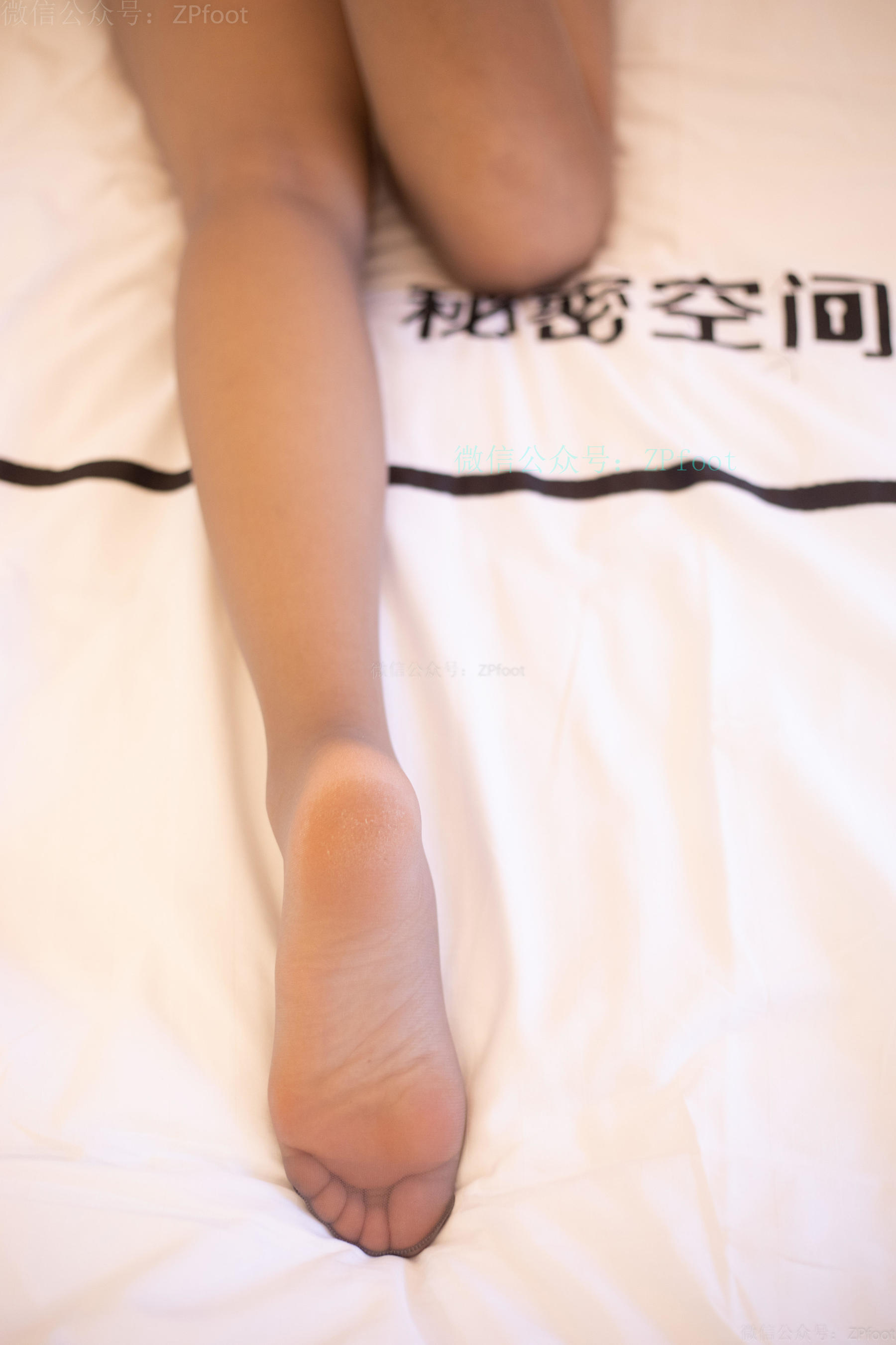 [山茶摄影LSS] NO.071  超薄灰丝