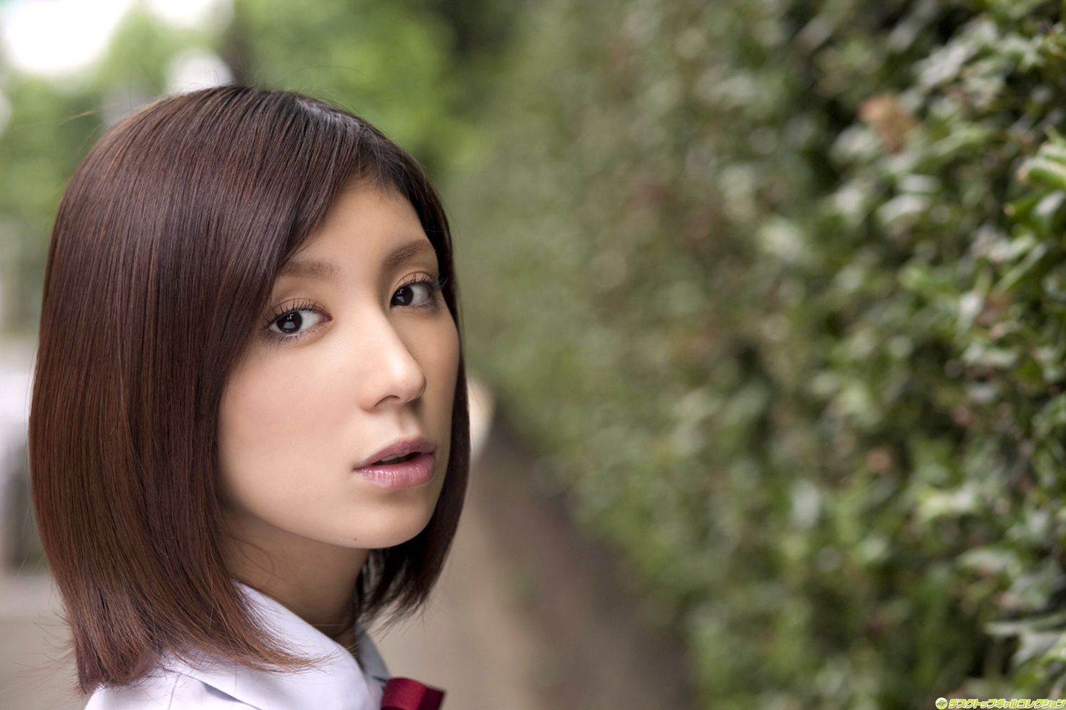 [DGC] NO.757 仲村みう/仲村美宇《衝撃の引退宣言！》