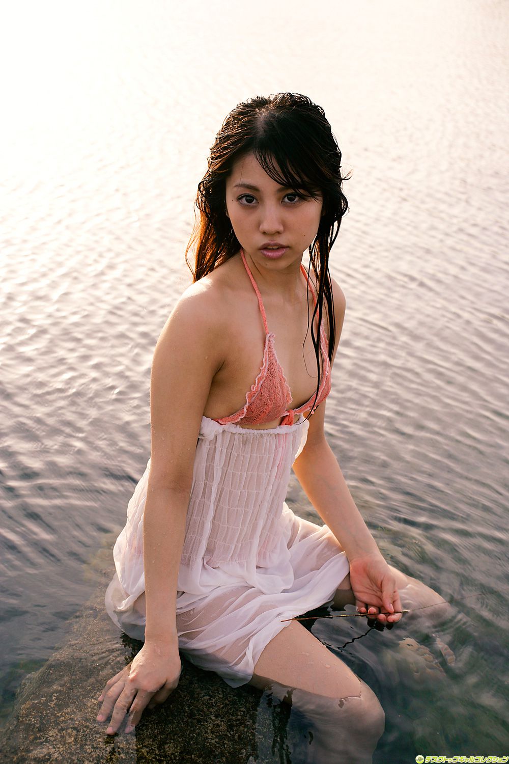 [DGC] NO.760 Tomomi Ohe 大江朝美