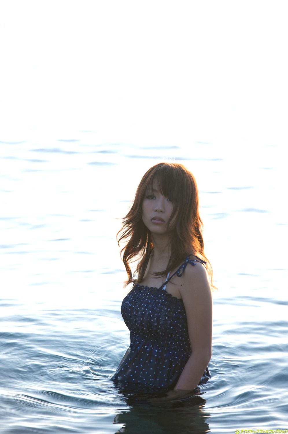 [DGC] NO.796 Mai Nishida 西田麻衣