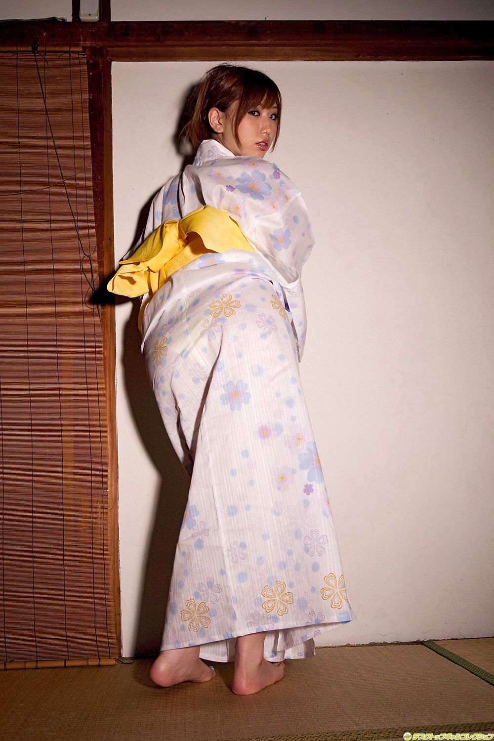 [DGC] NO.799 Ai Sayama 佐山愛 Adult Idols