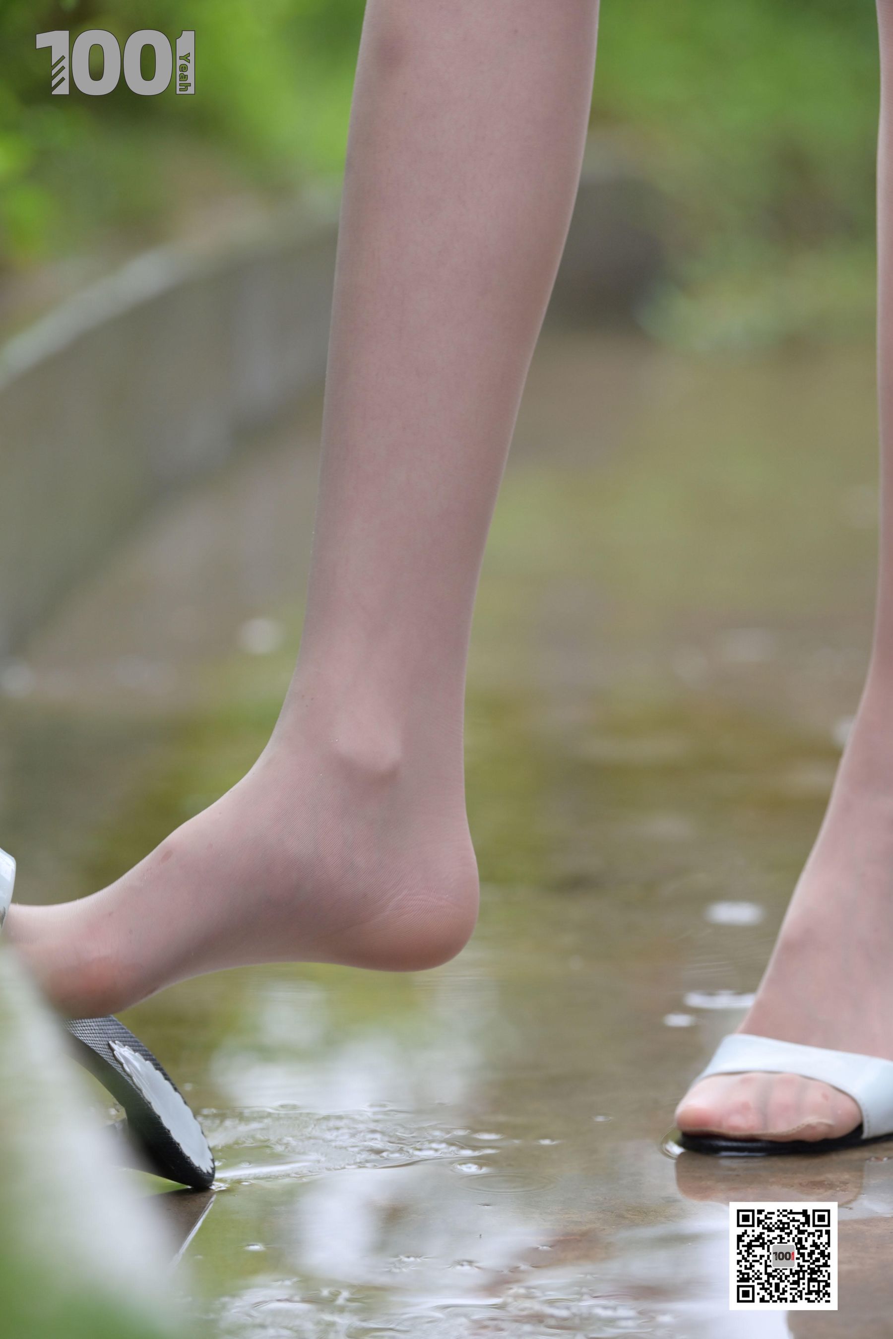 [一千零一夜] 162  草莓《雨中漫步2》